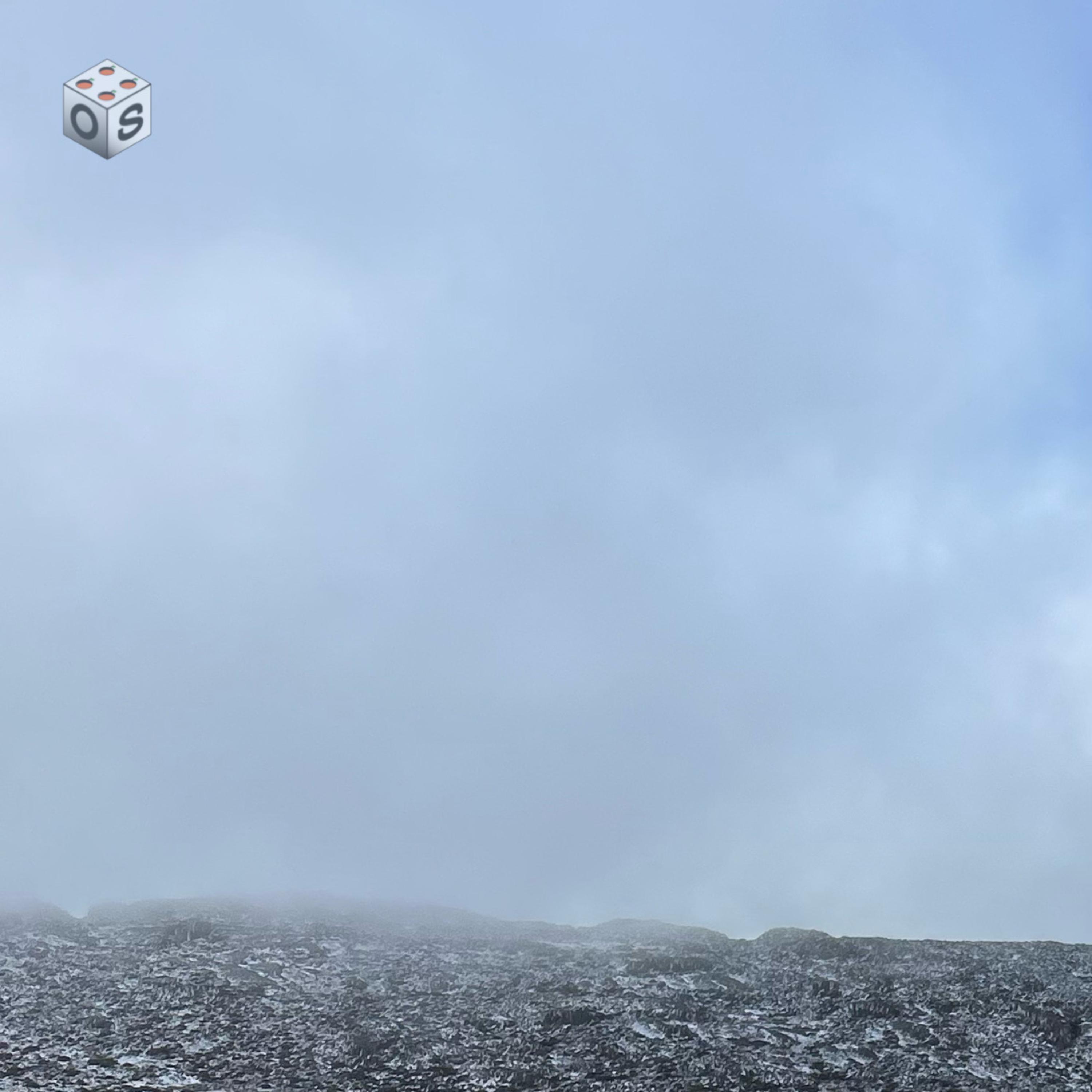 WE DID / LET GO (FREESTYLE) artwork