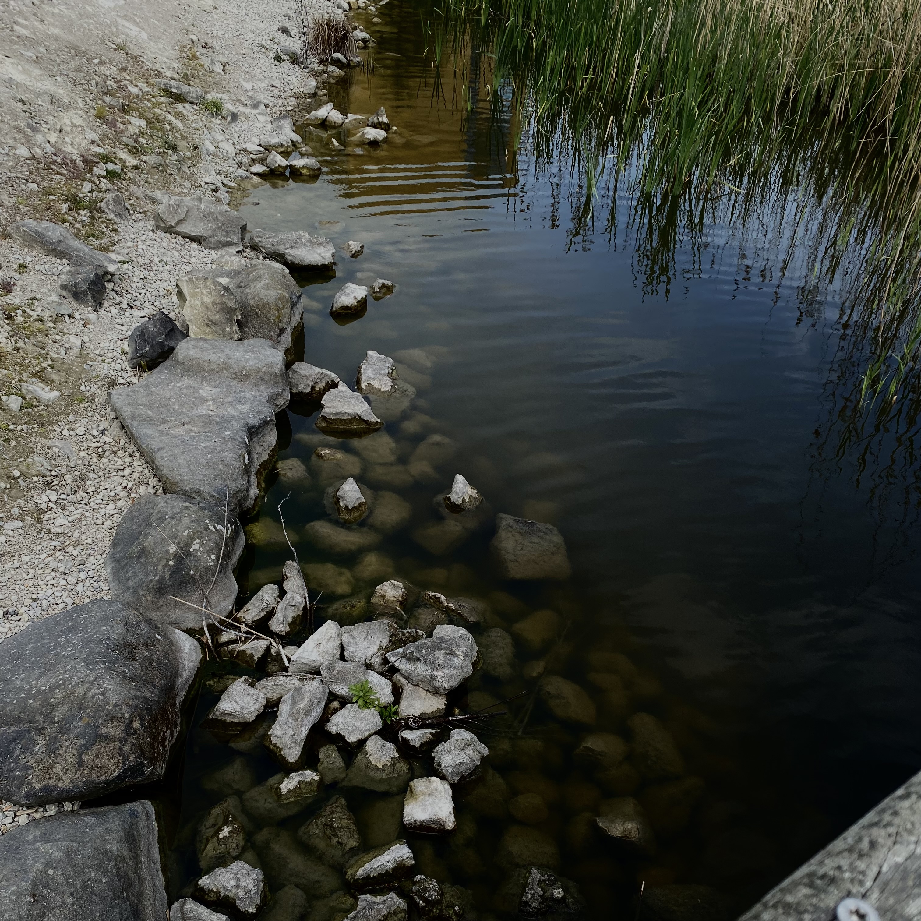 pack from john artwork