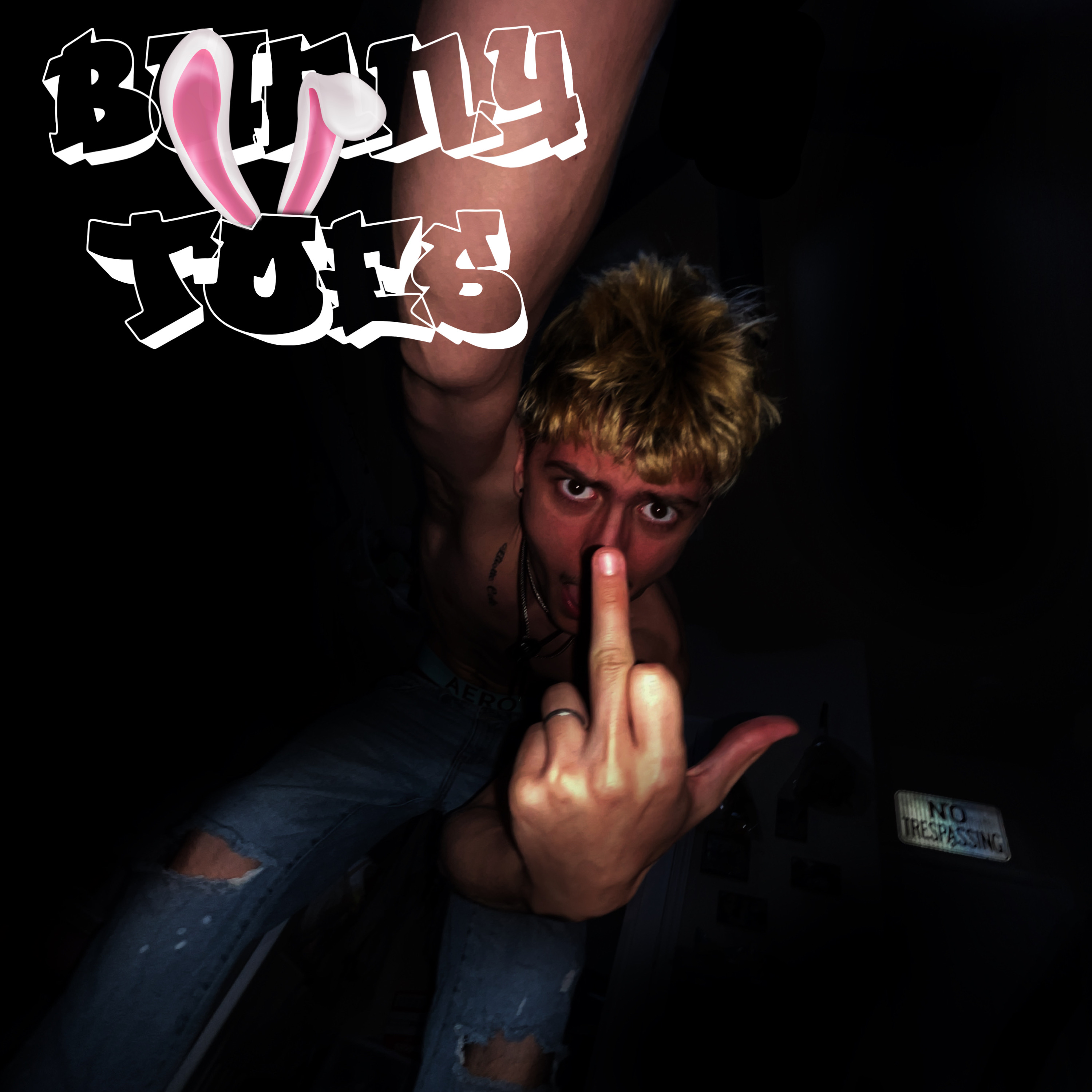 BunnyToes artwork