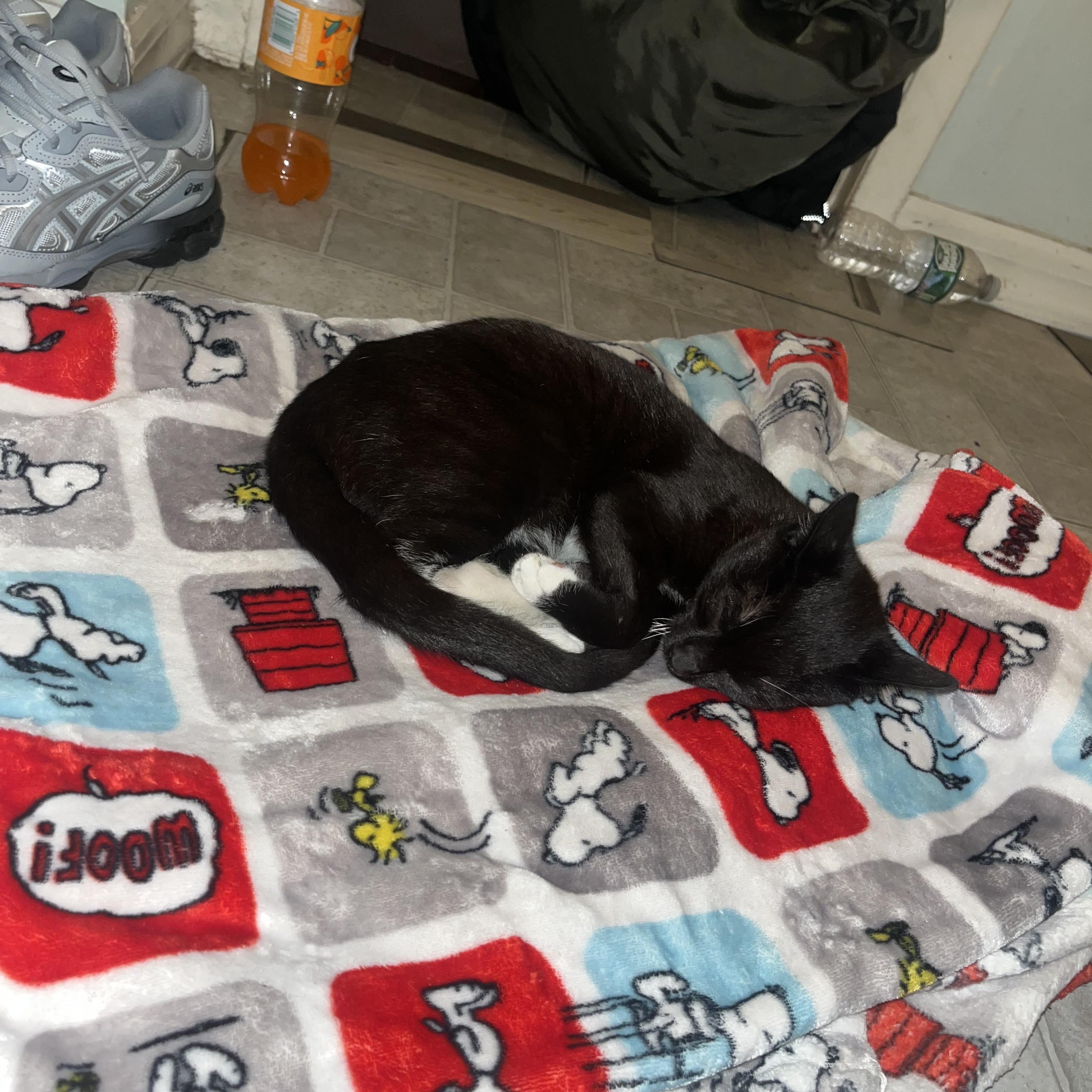 Emotional Geekstar artwork