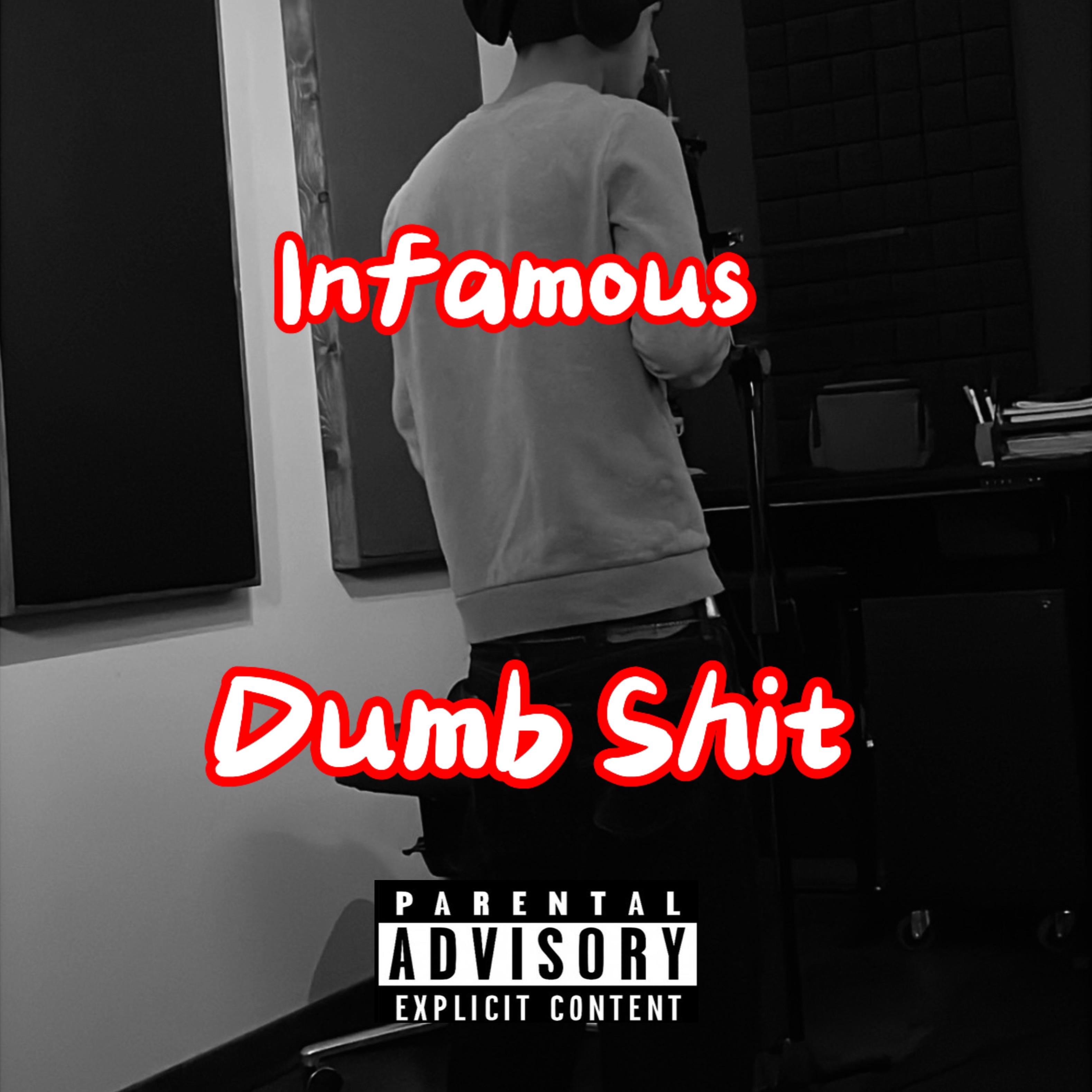 Dumb Shit artwork