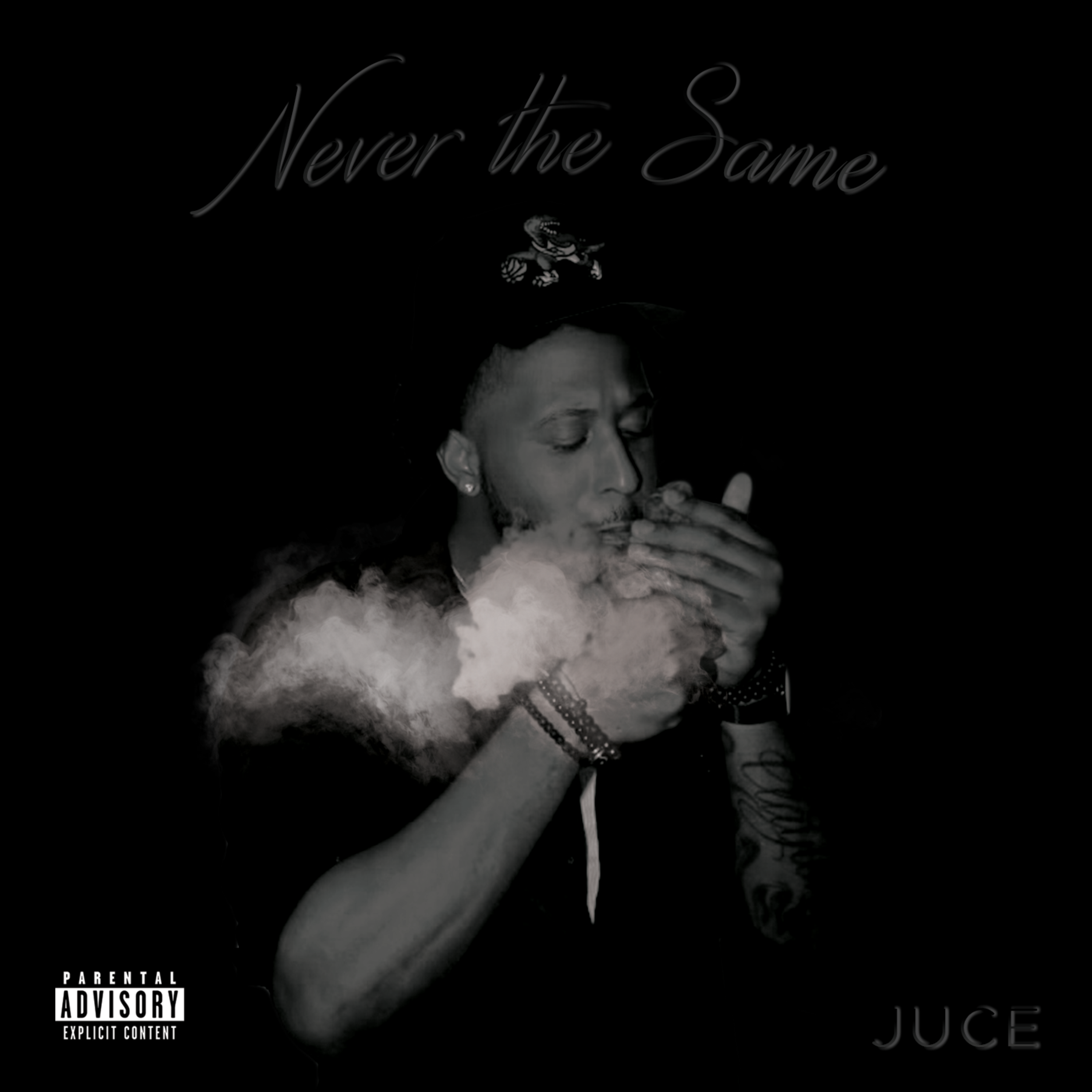 Never The Same artwork