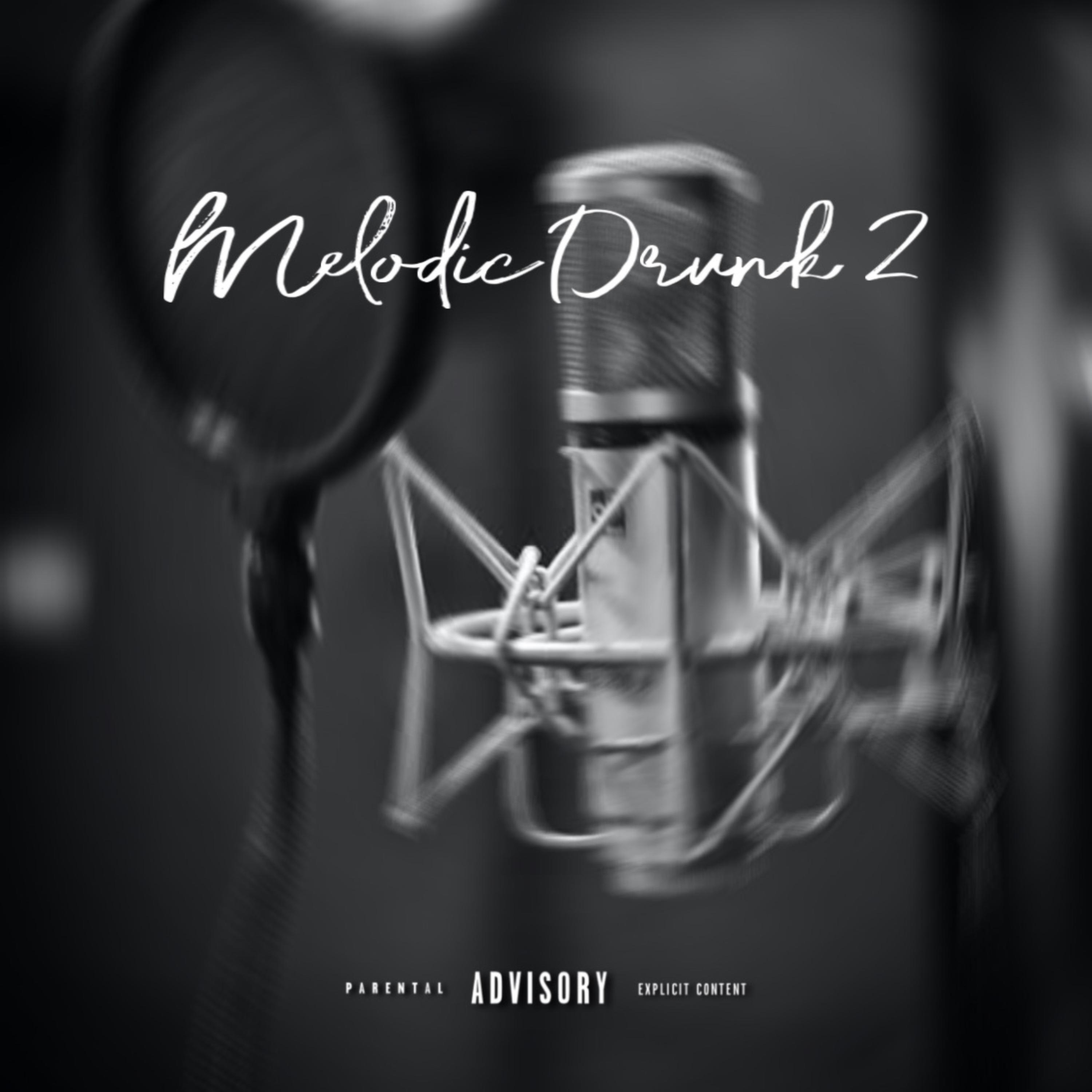 Melodic Drunk 2 artwork