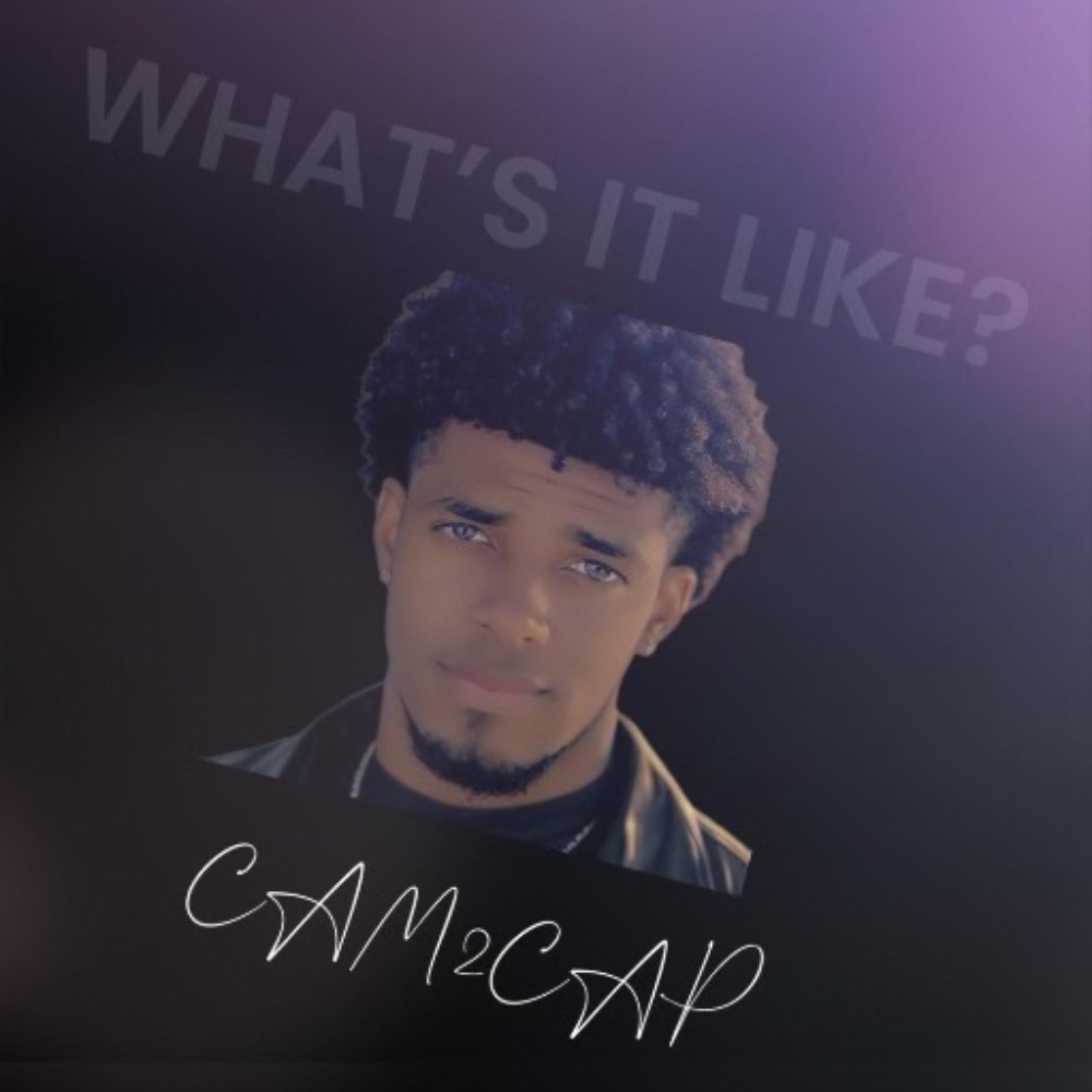 What’s It Like? by Cam2Cap cover art