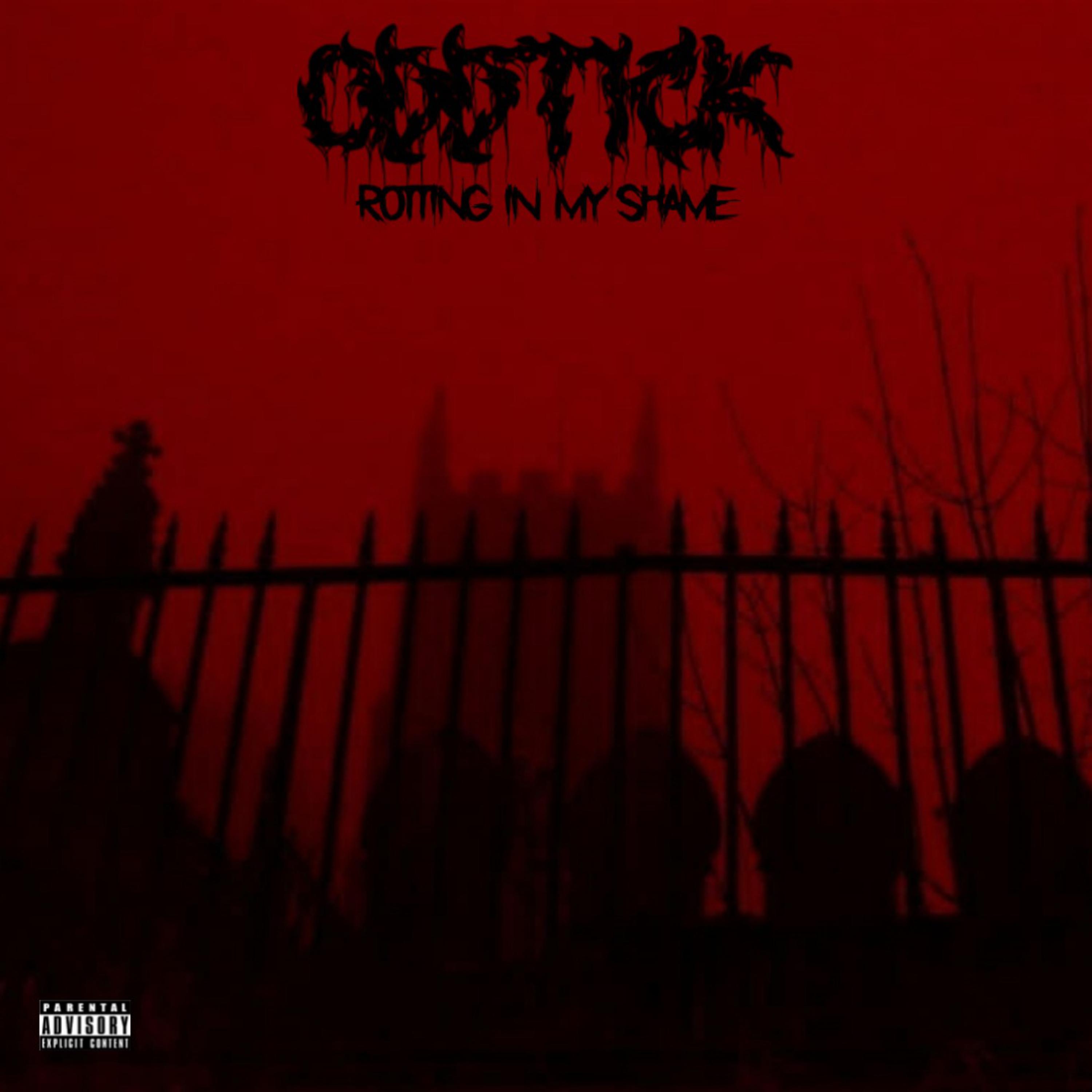 Rotting In My Shame artwork