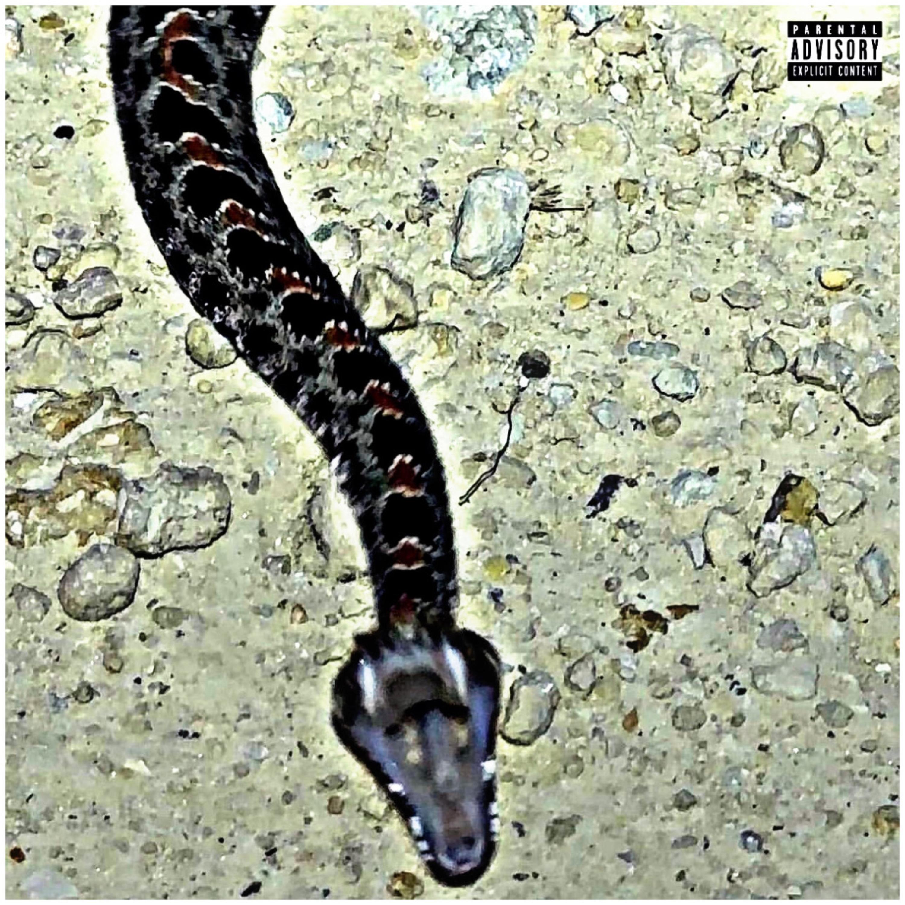 Can’t Sleep artwork