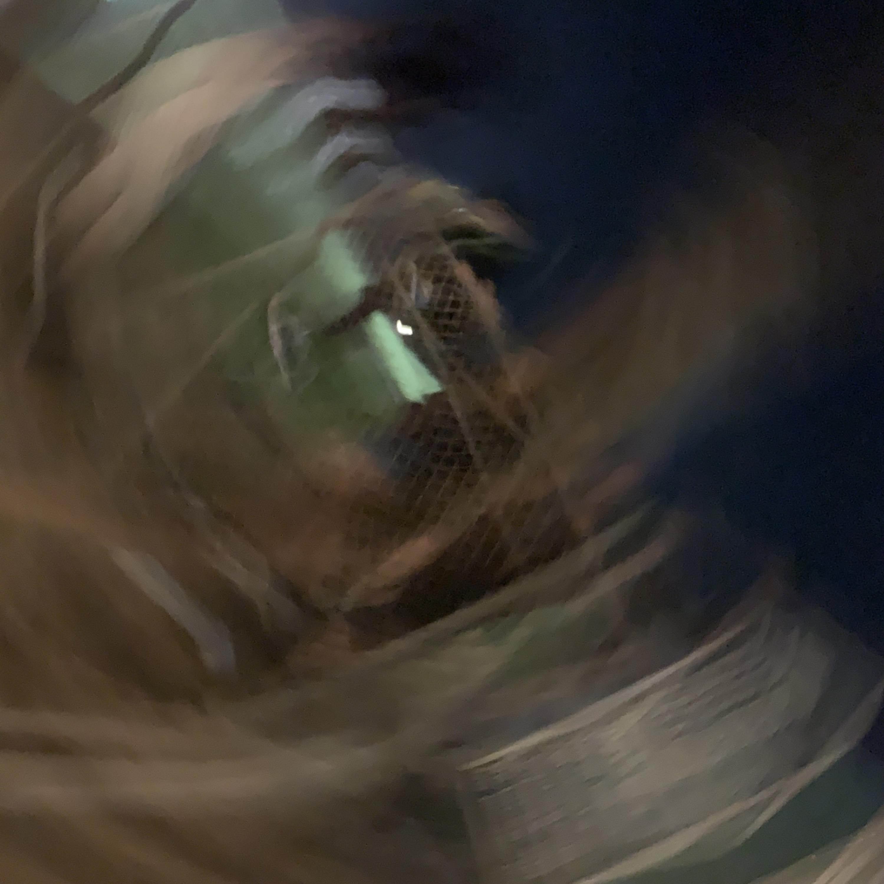 Stay artwork
