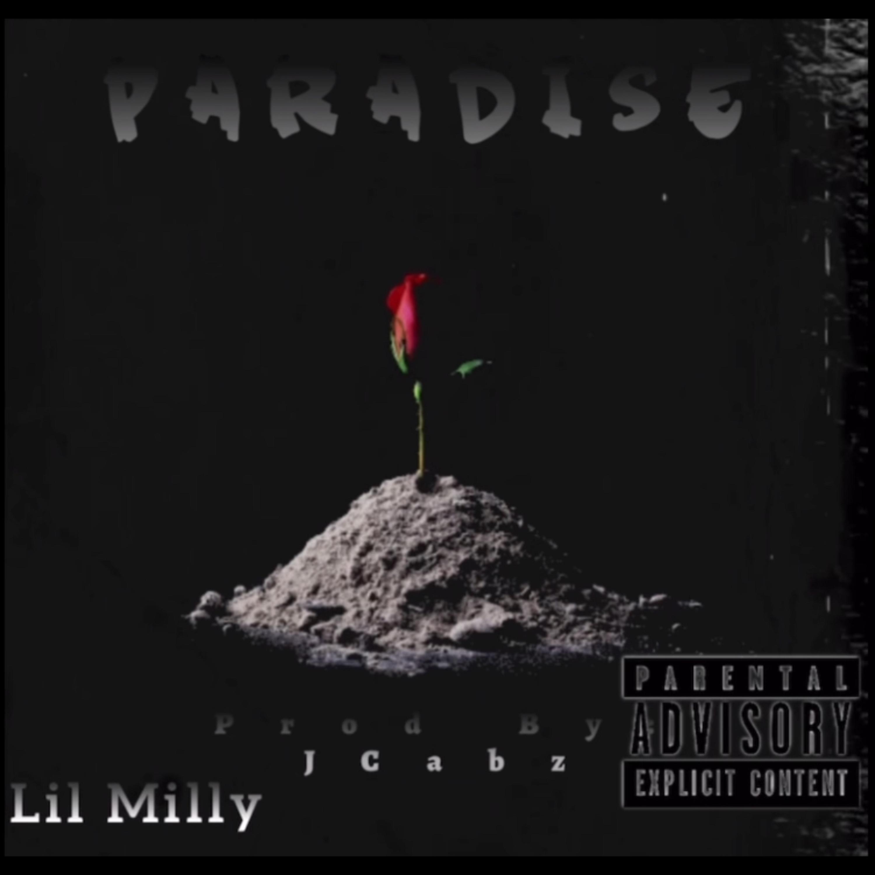 PARADISE artwork