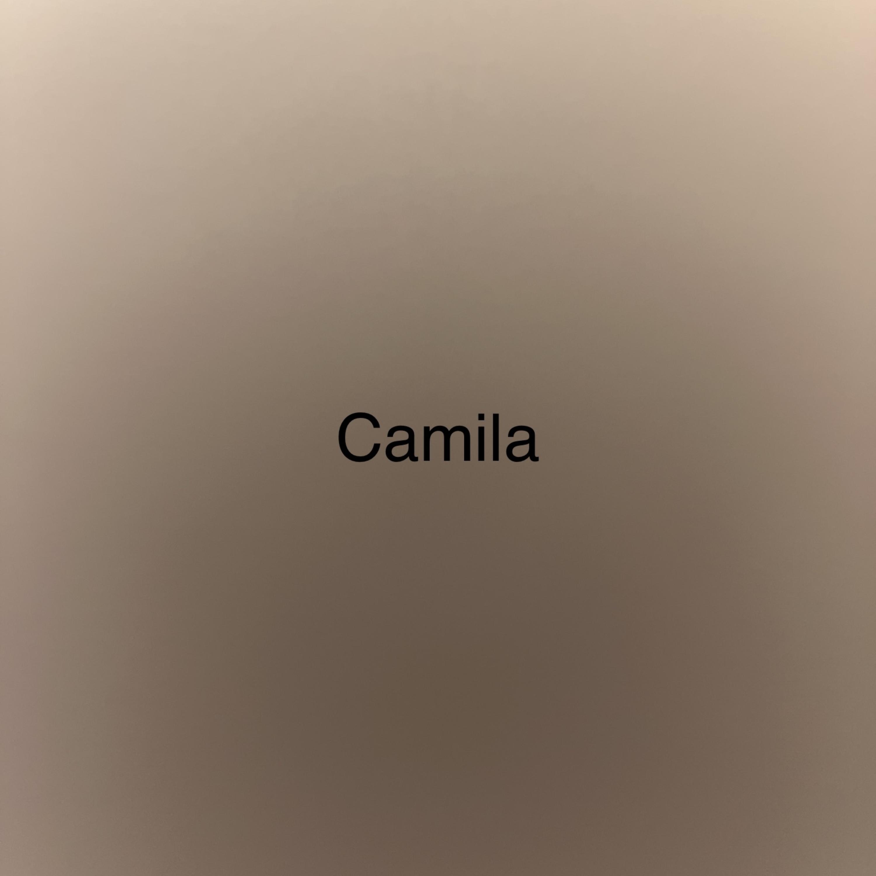 Camila artwork