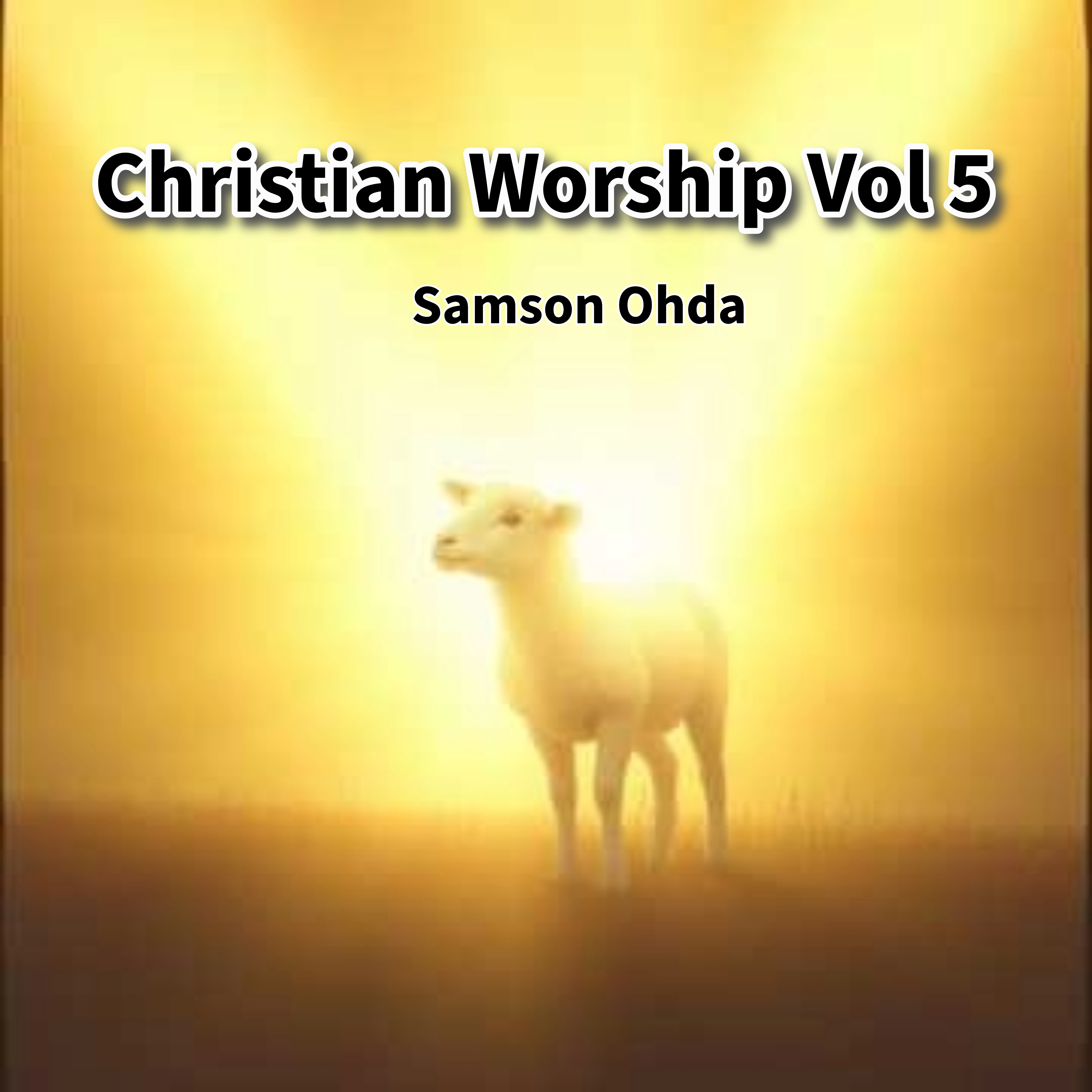 Christian Worship Vol 5 Album artwork