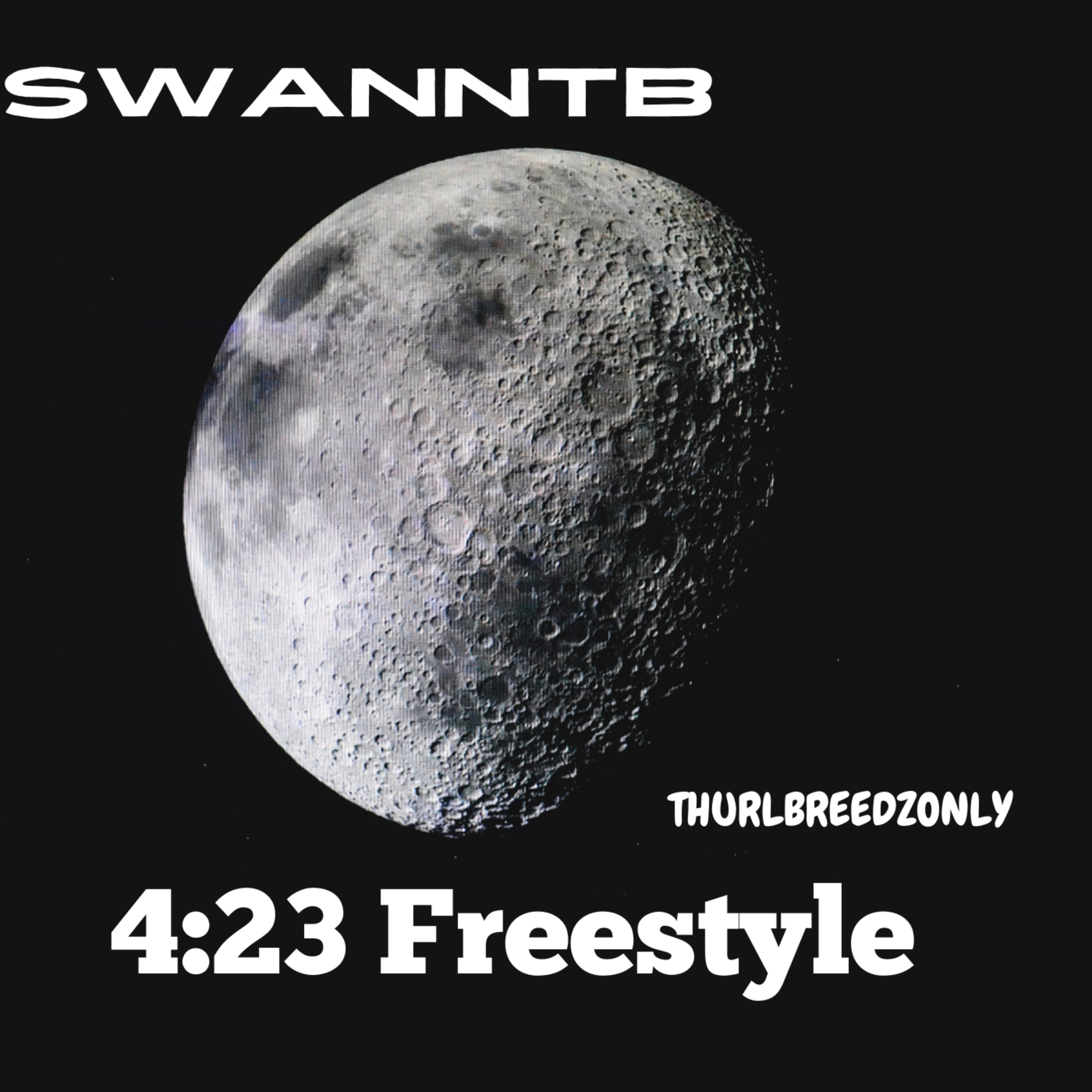 4:23 Freestyle artwork