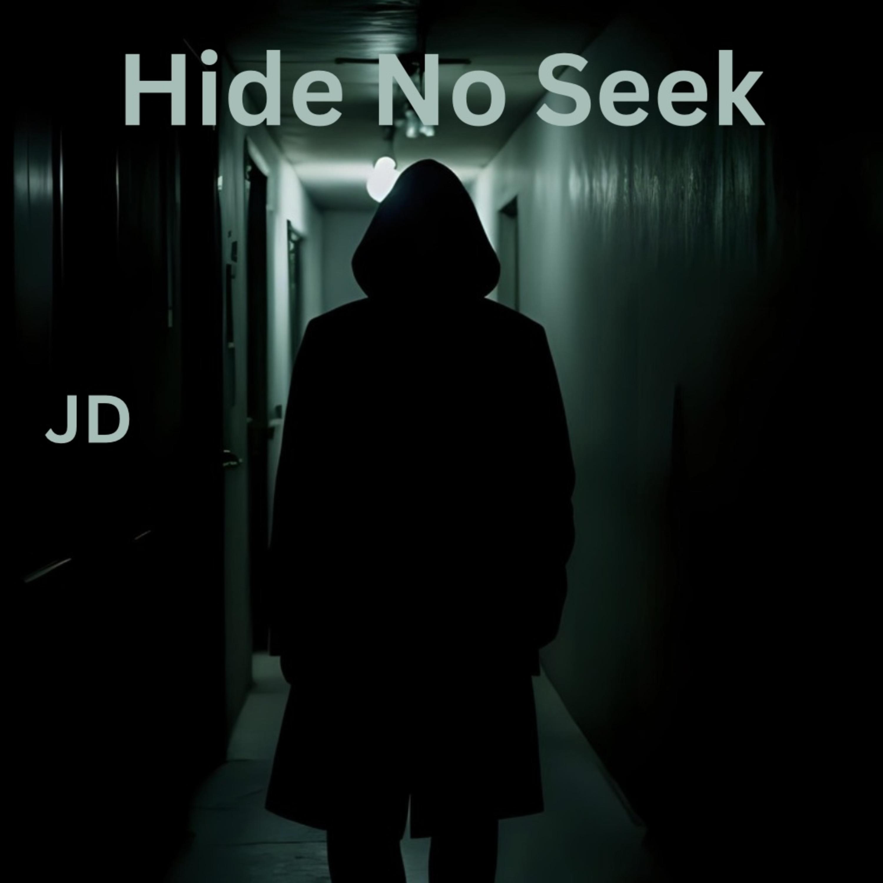 Hide No Seek artwork