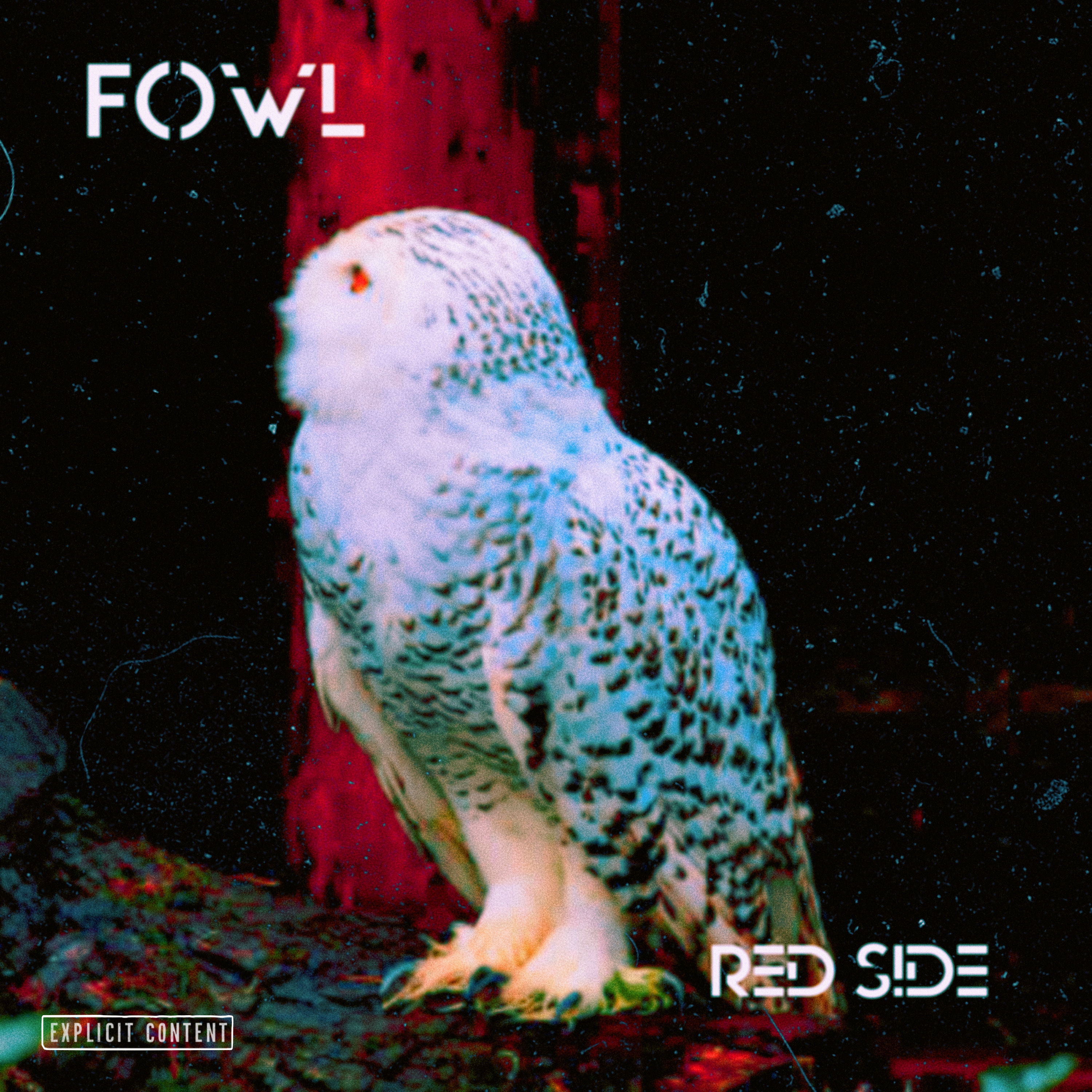 Fowl Red Side artwork