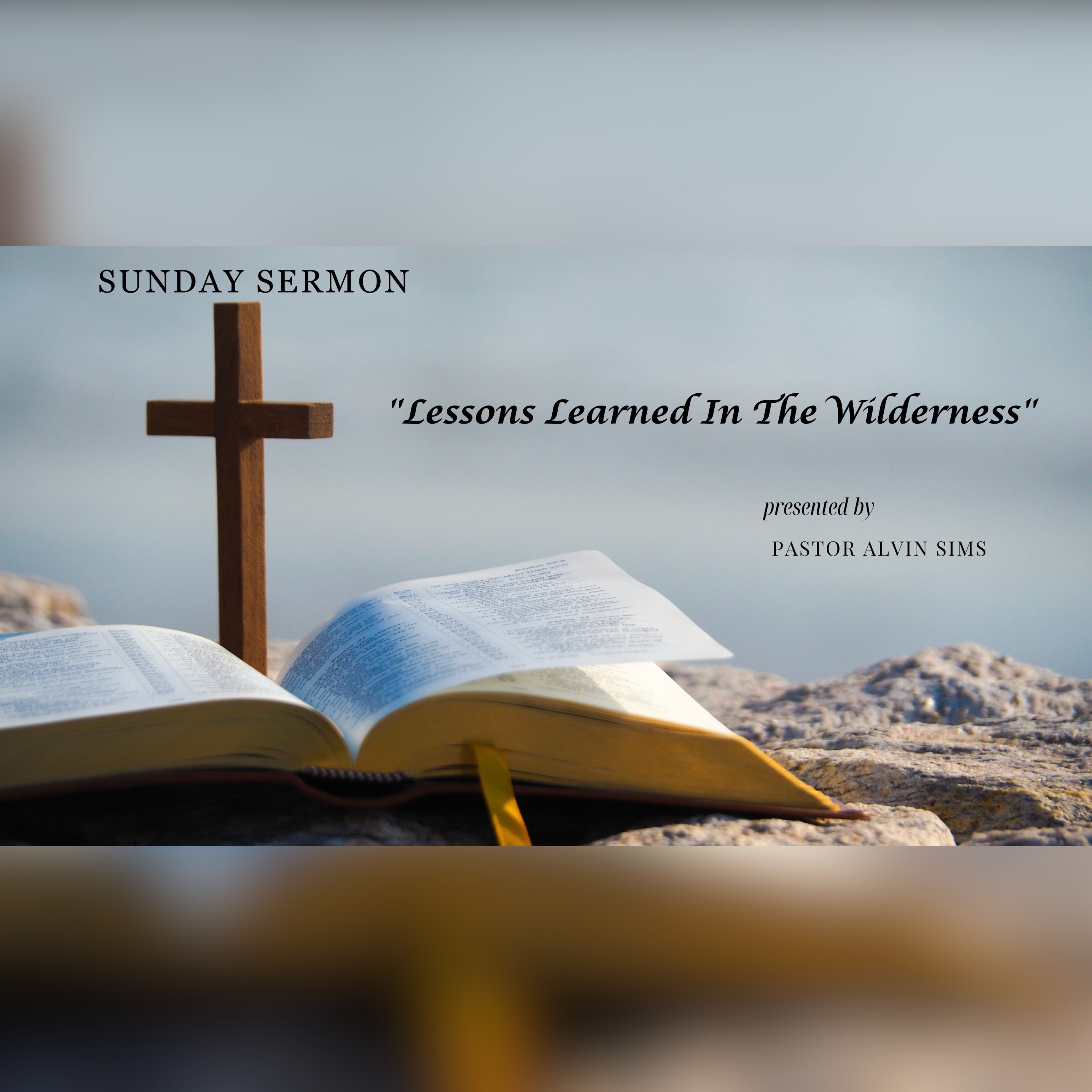 Lesson Leardned In The Wilderness artwork