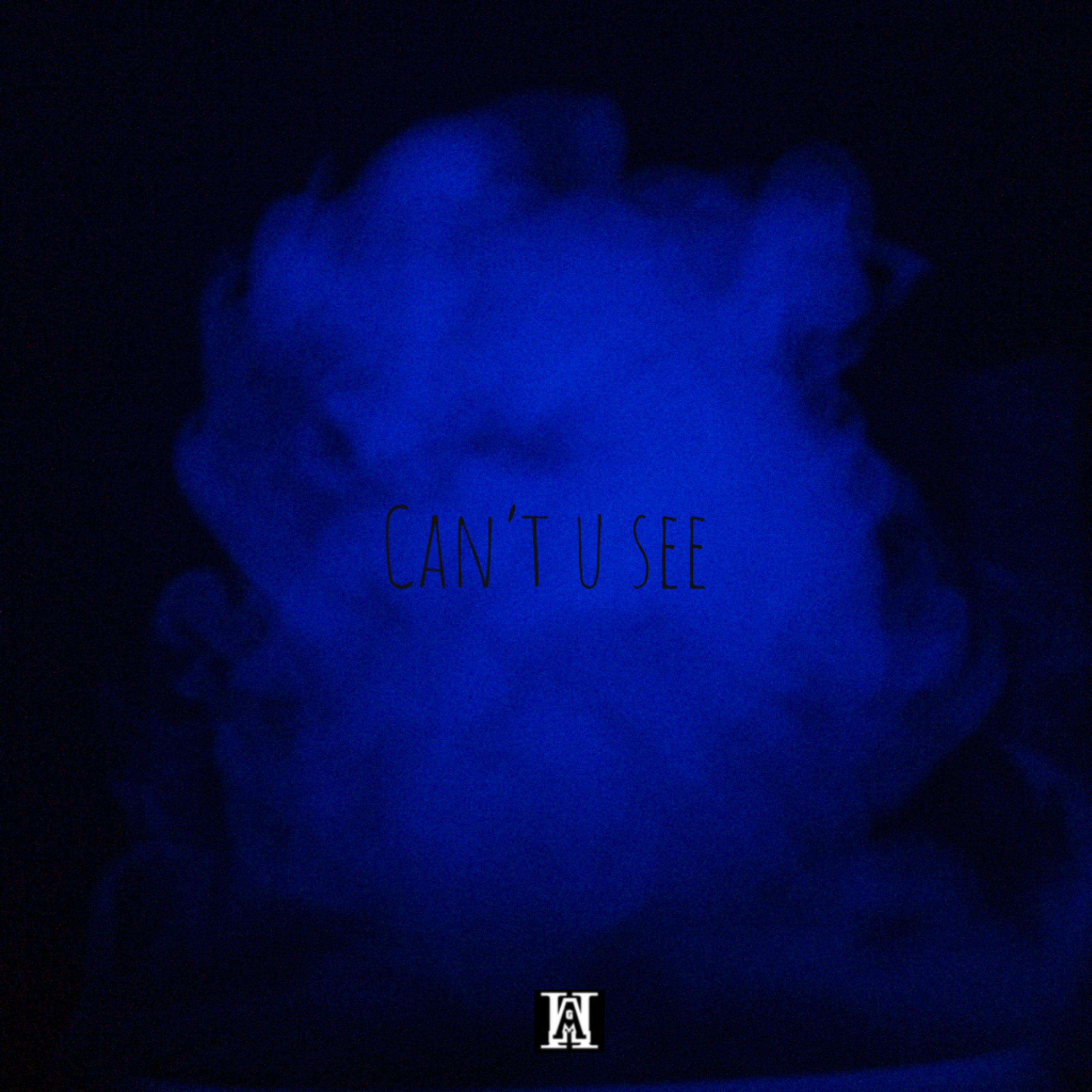 Can’t u see artwork