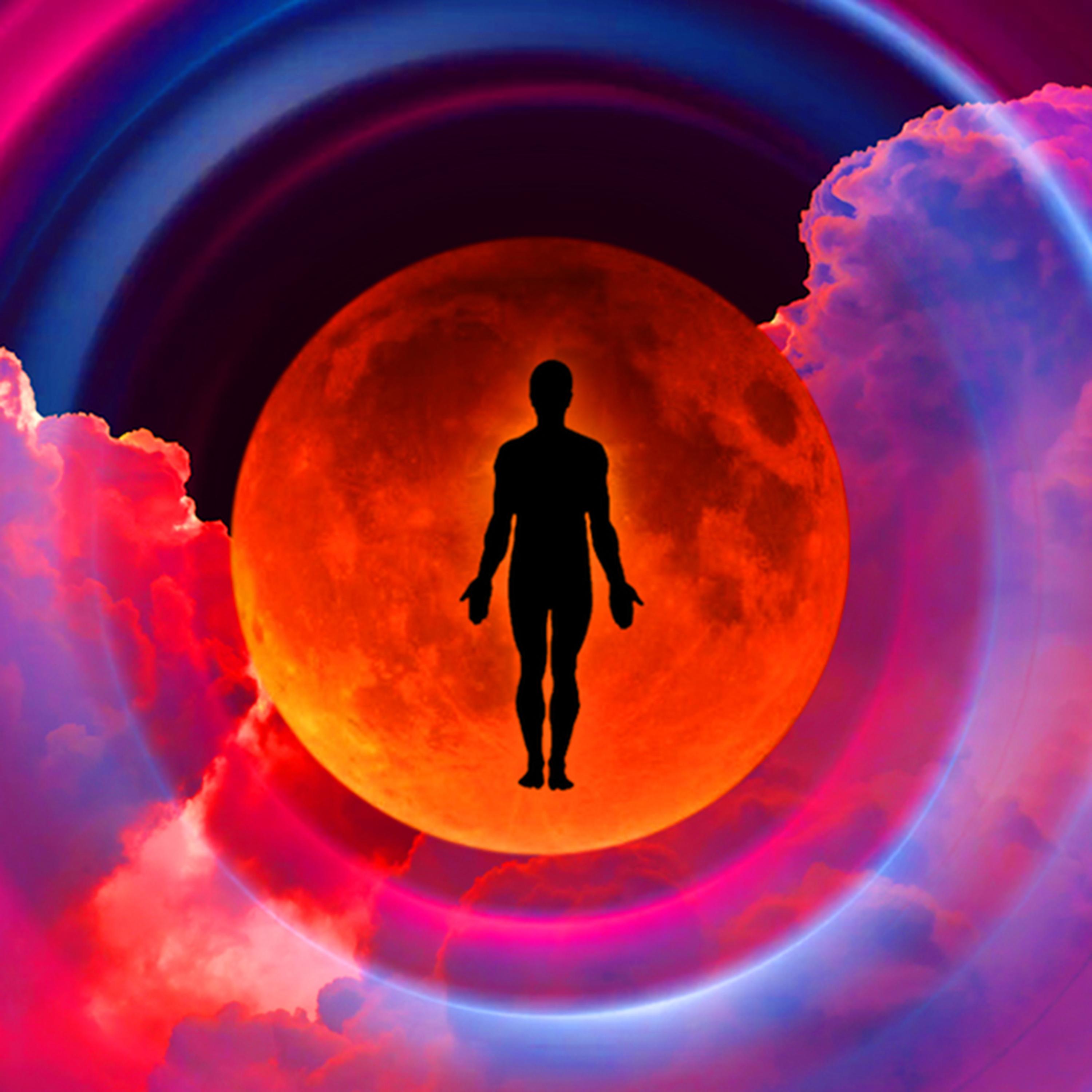 Raise Your Vibration & Manifest Miracles artwork