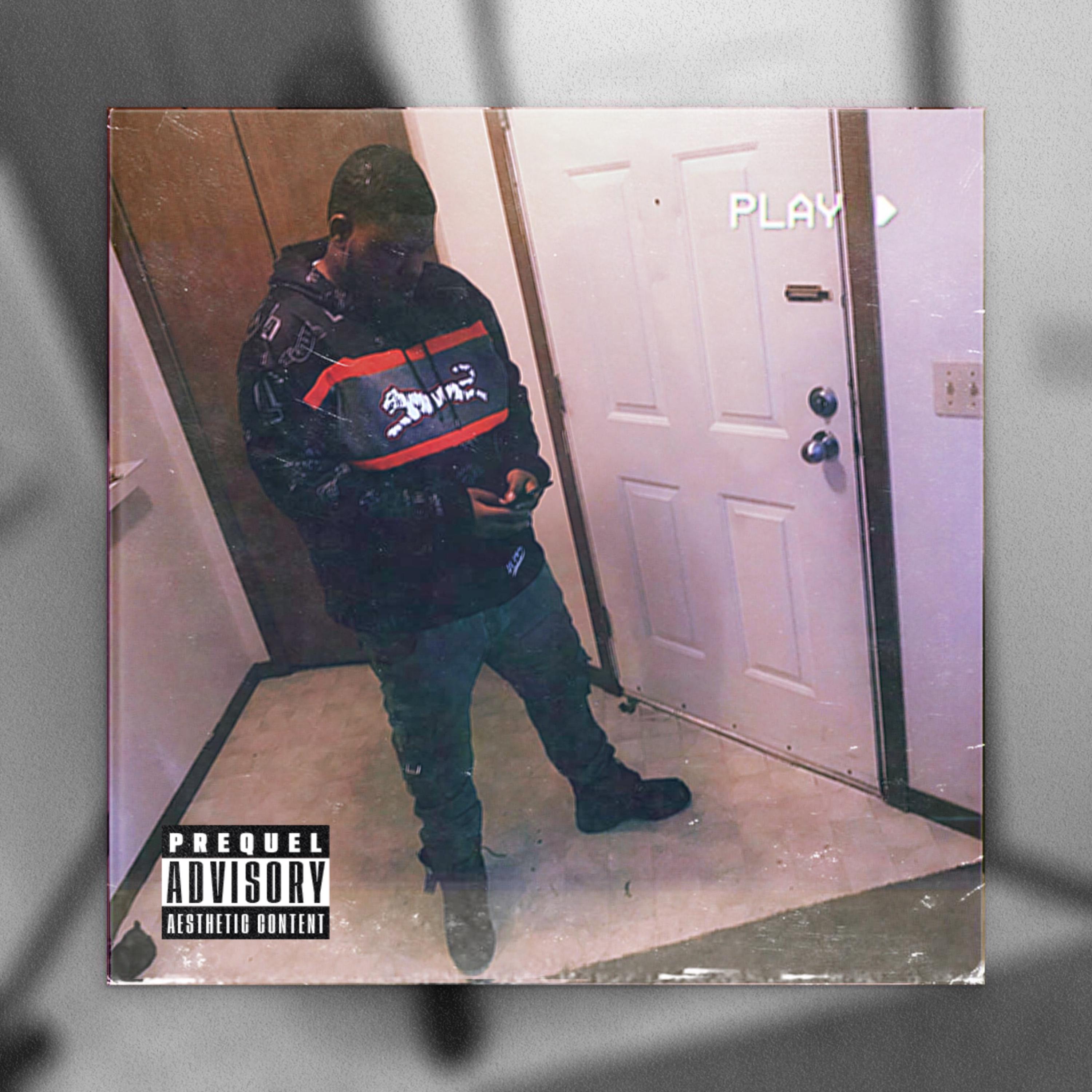 Hard Times by ReeseloVe cover art