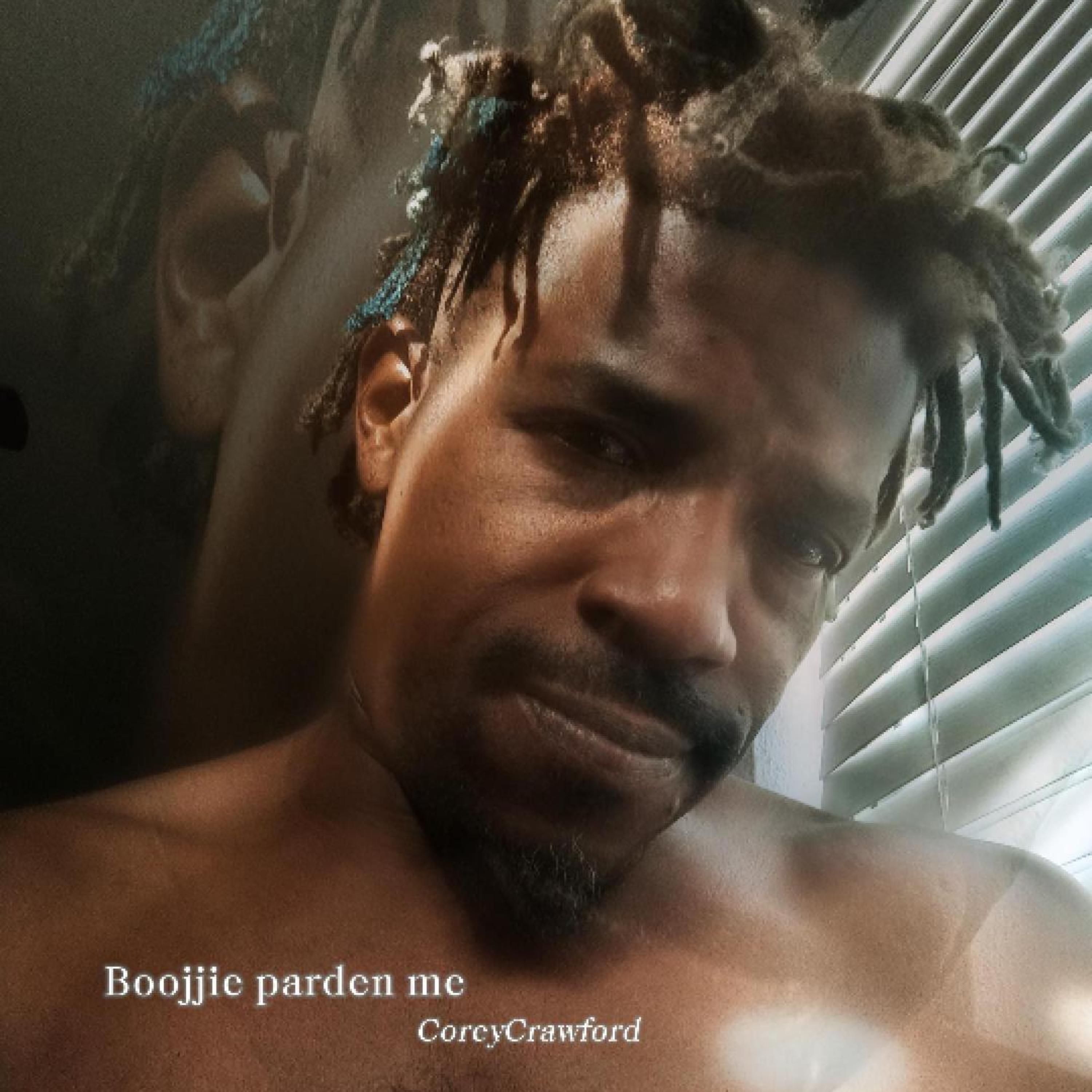 Boojjie pardon me artwork