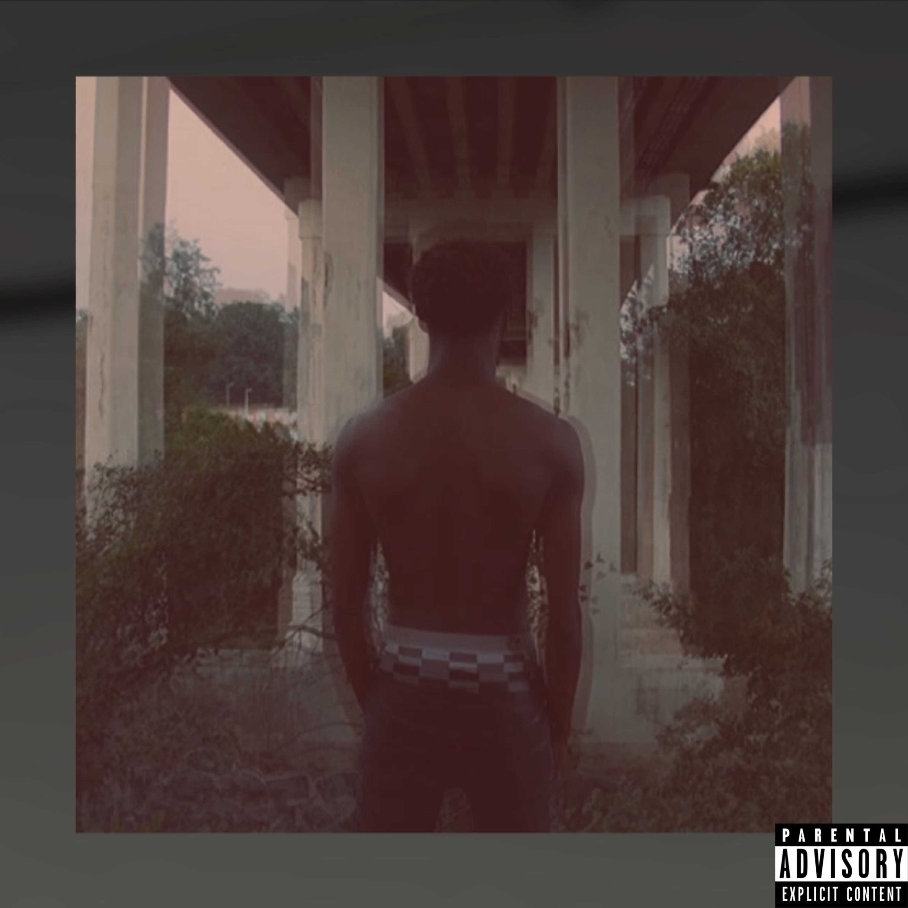 LITTY LIXX artwork