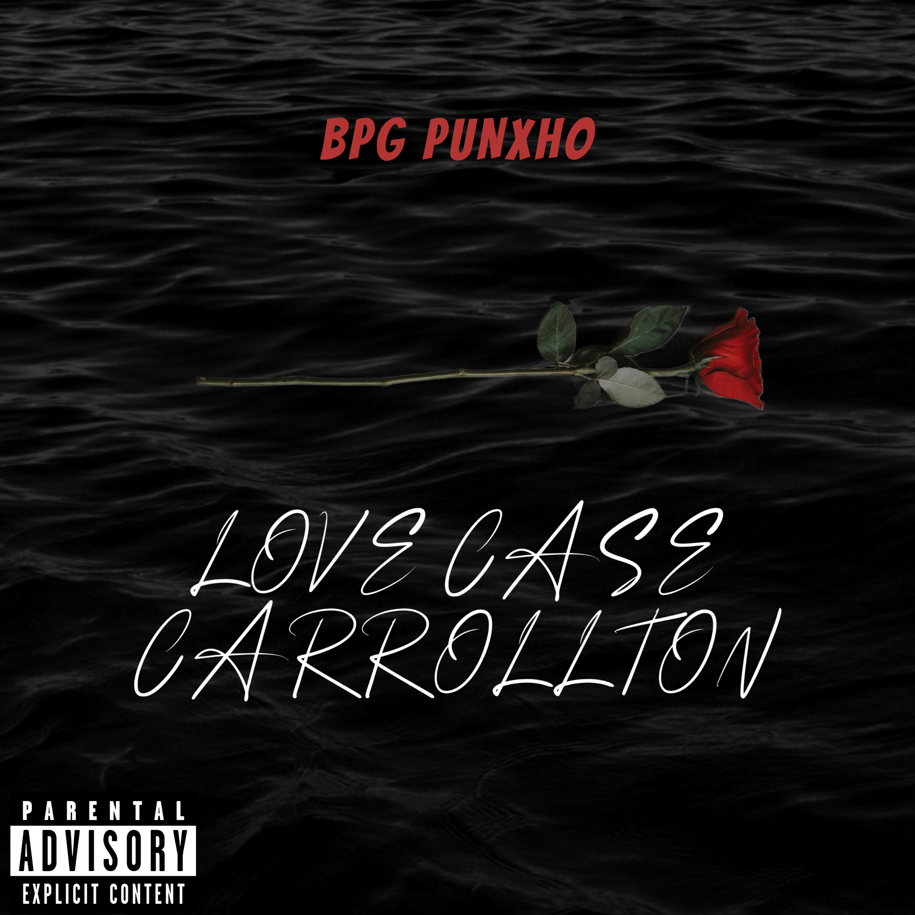LOVE CASE CARROLLTON artwork