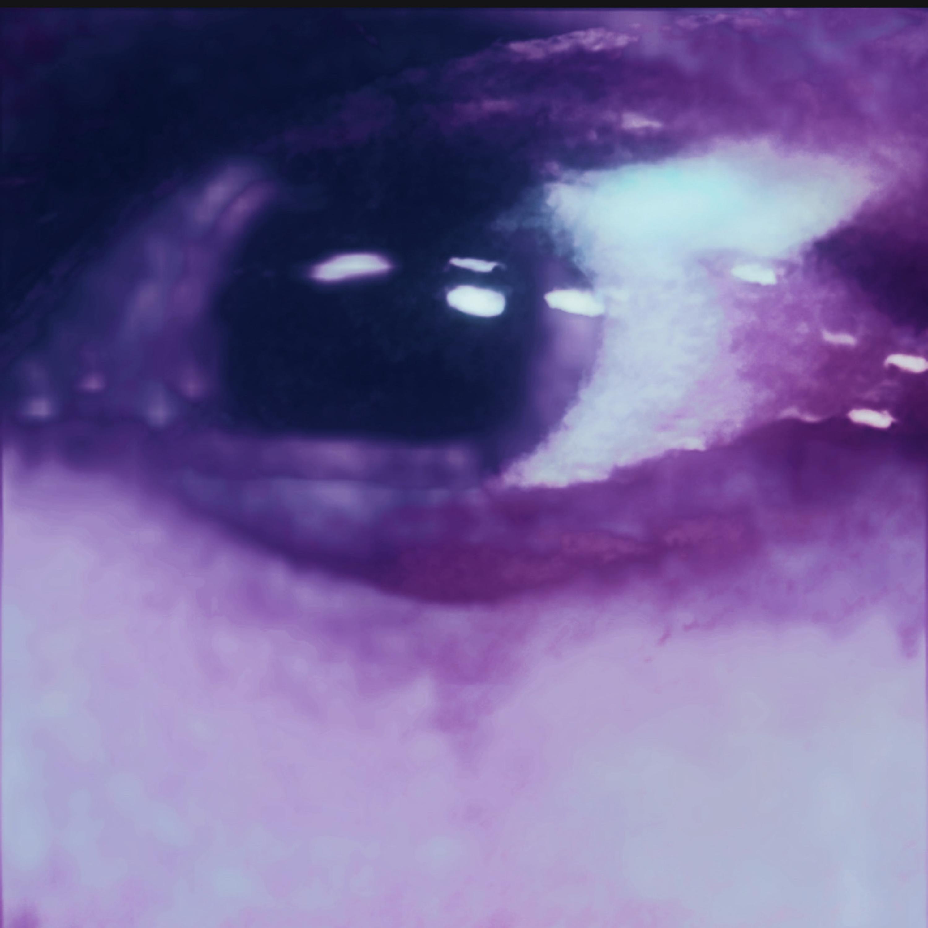 13 artwork