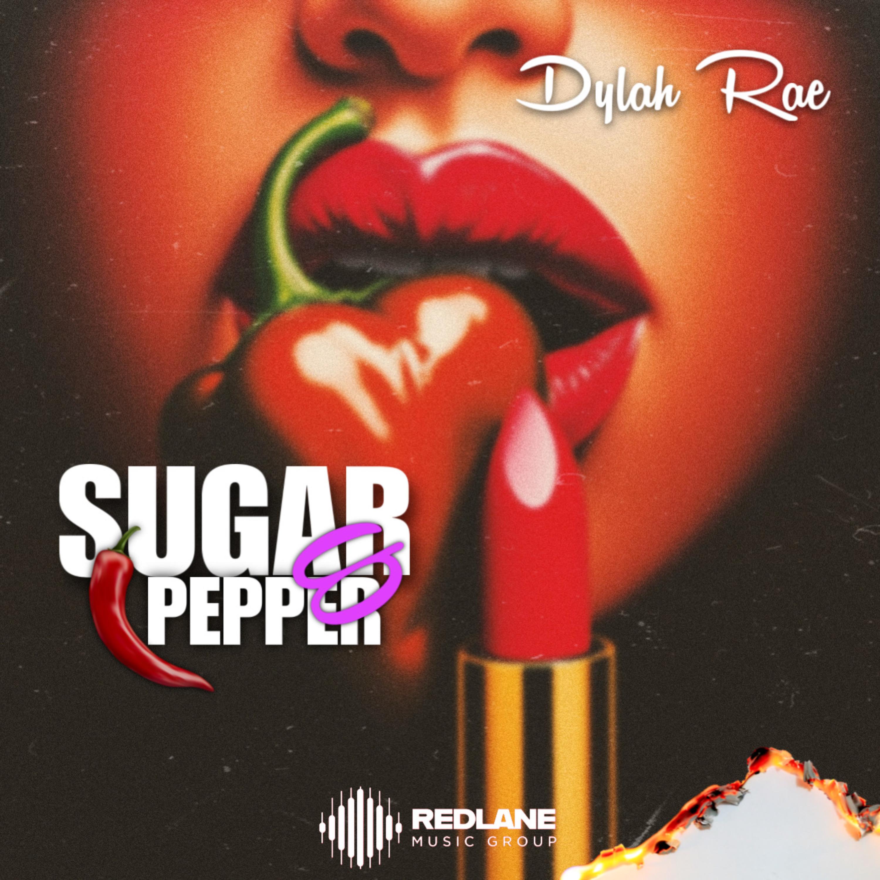 Sugar & Pepper artwork