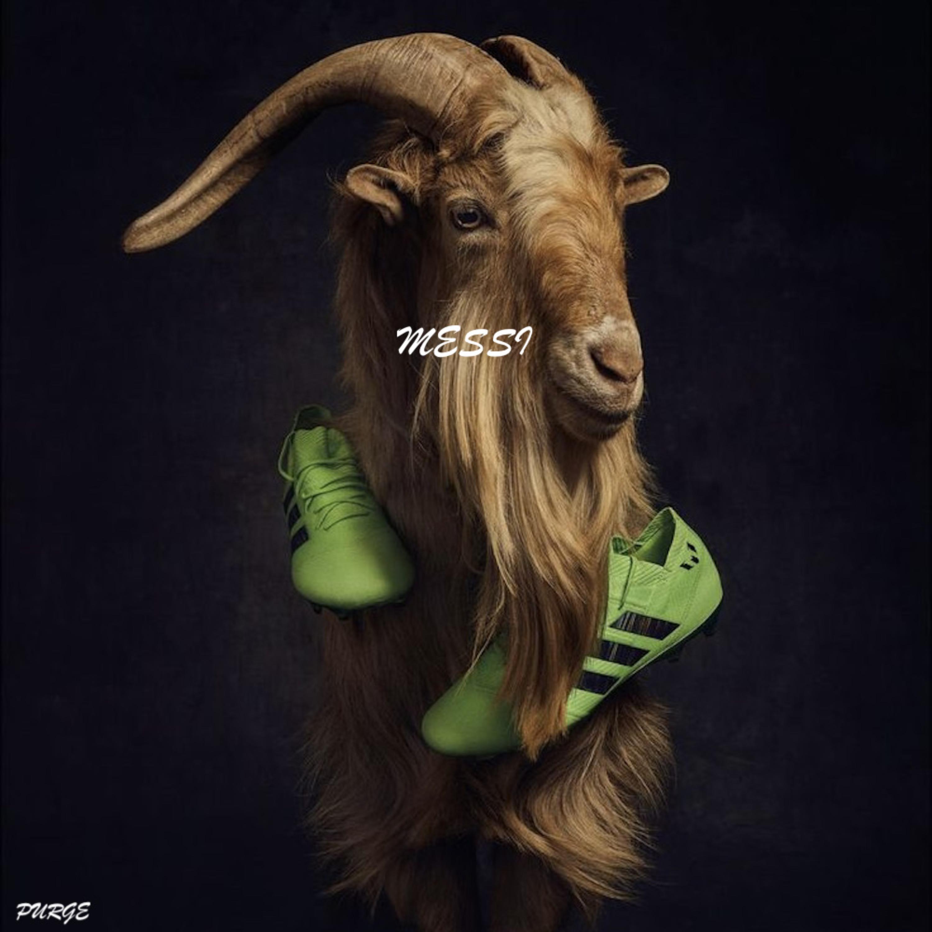 MESSI artwork