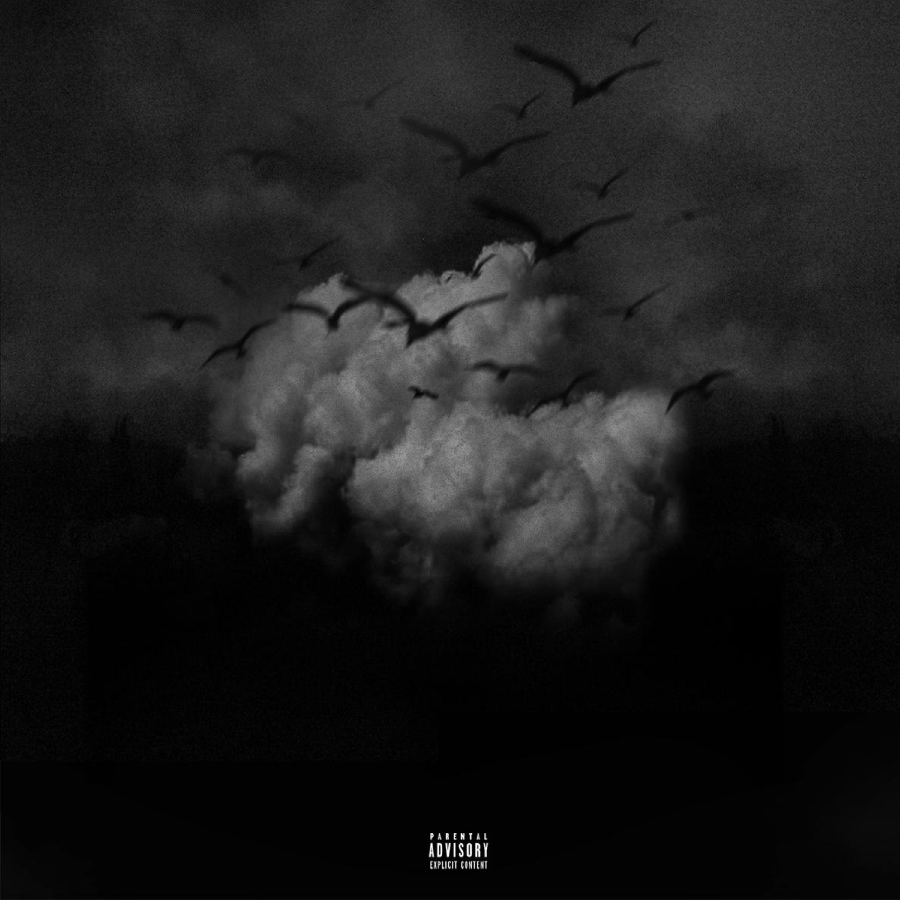 Told Your Bitch artwork