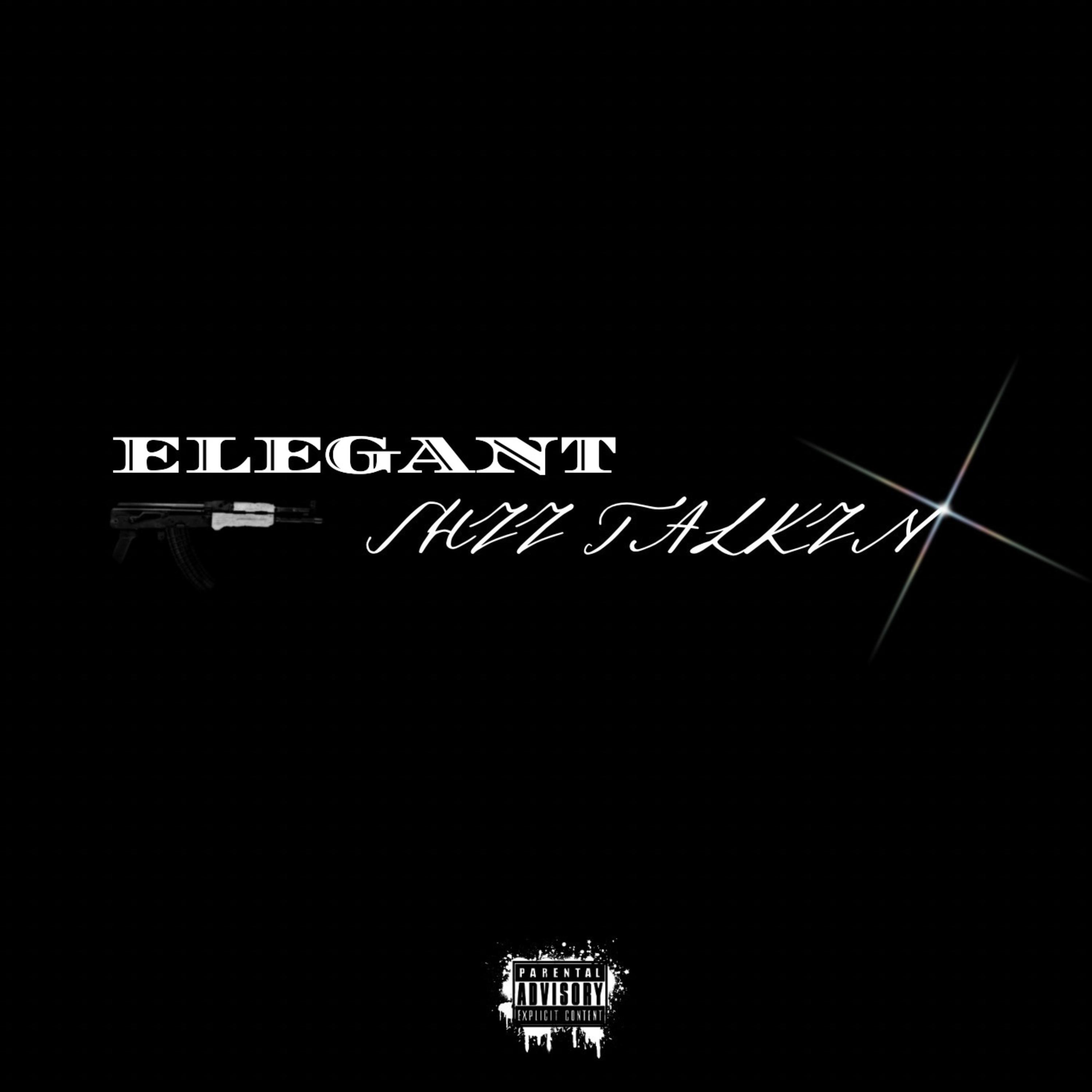 ELEGANT SHII TALKIN by Vonne2x cover art