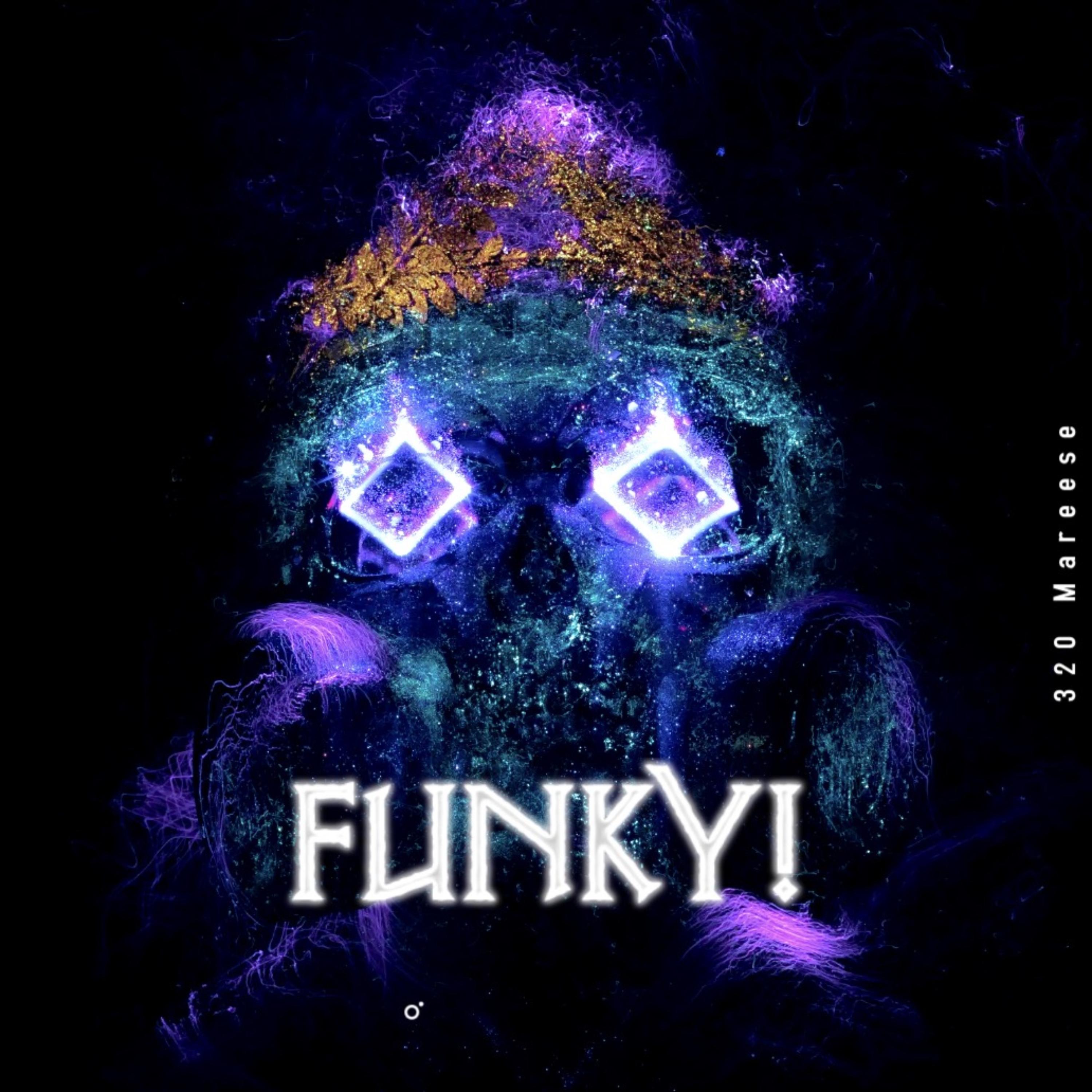 Funky! artwork