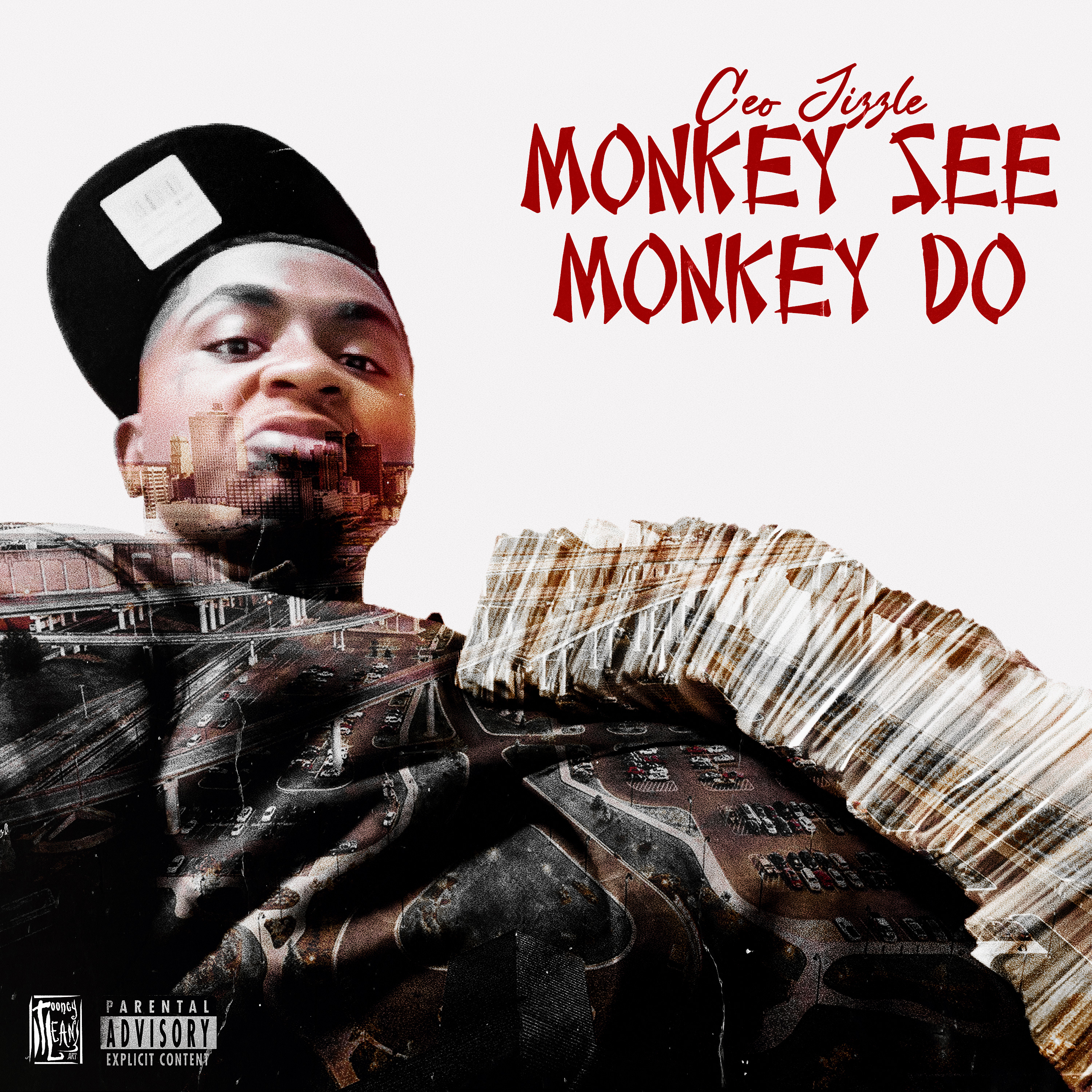 Monkey See Monkey Do artwork