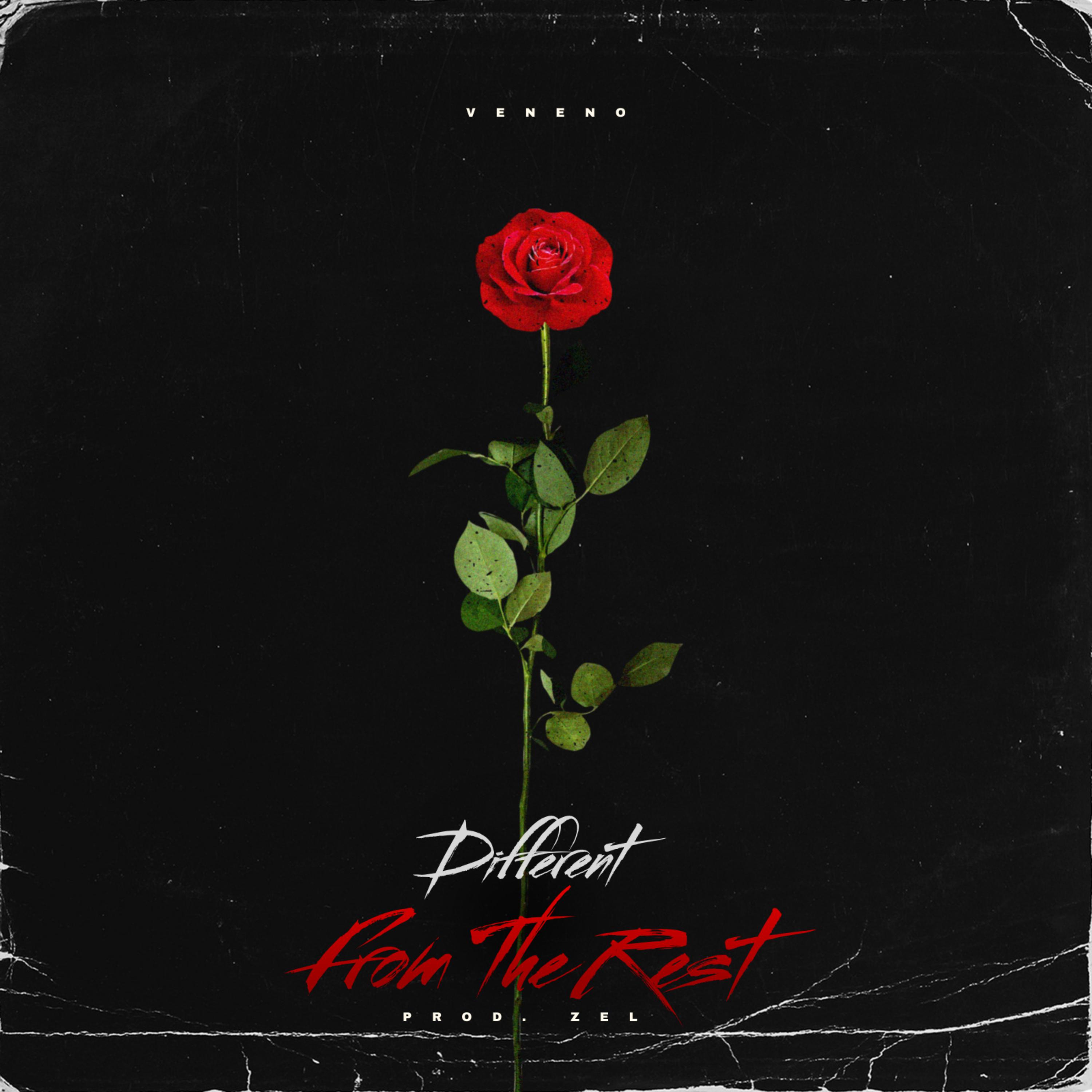 Different From The Rest artwork