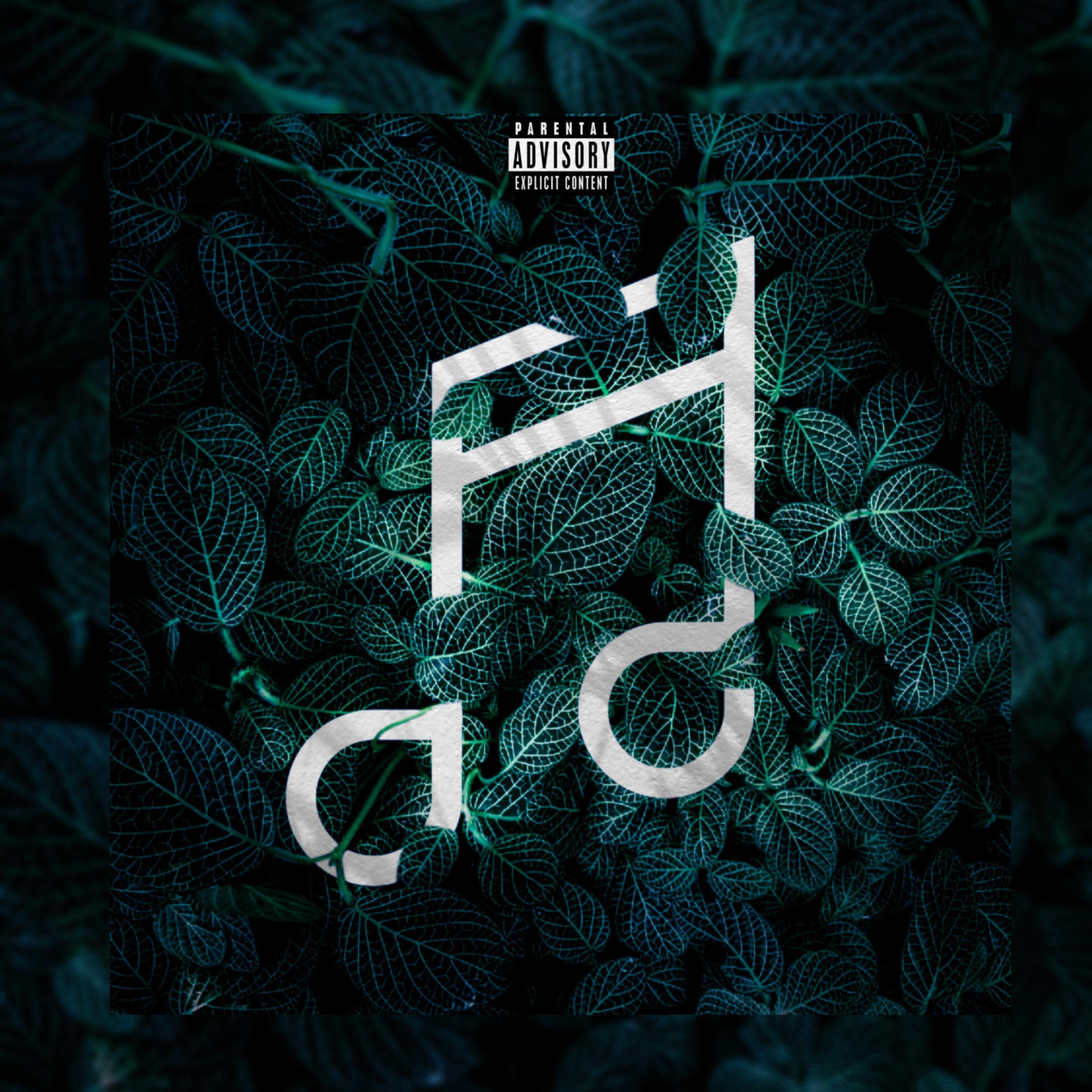 Feel Tha Beat artwork