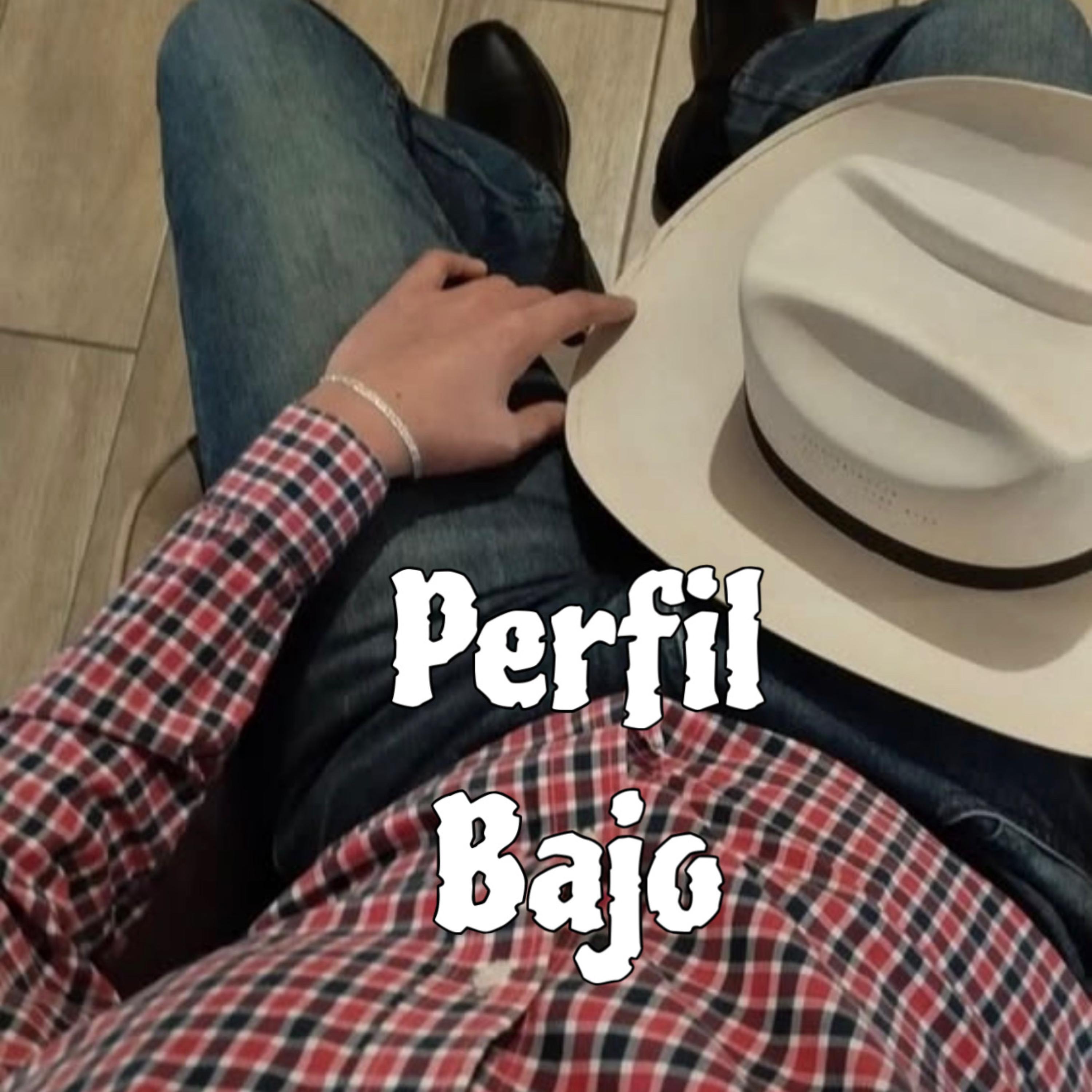 Perfil Bajo by Corridos Con Estilo Oficial cover art