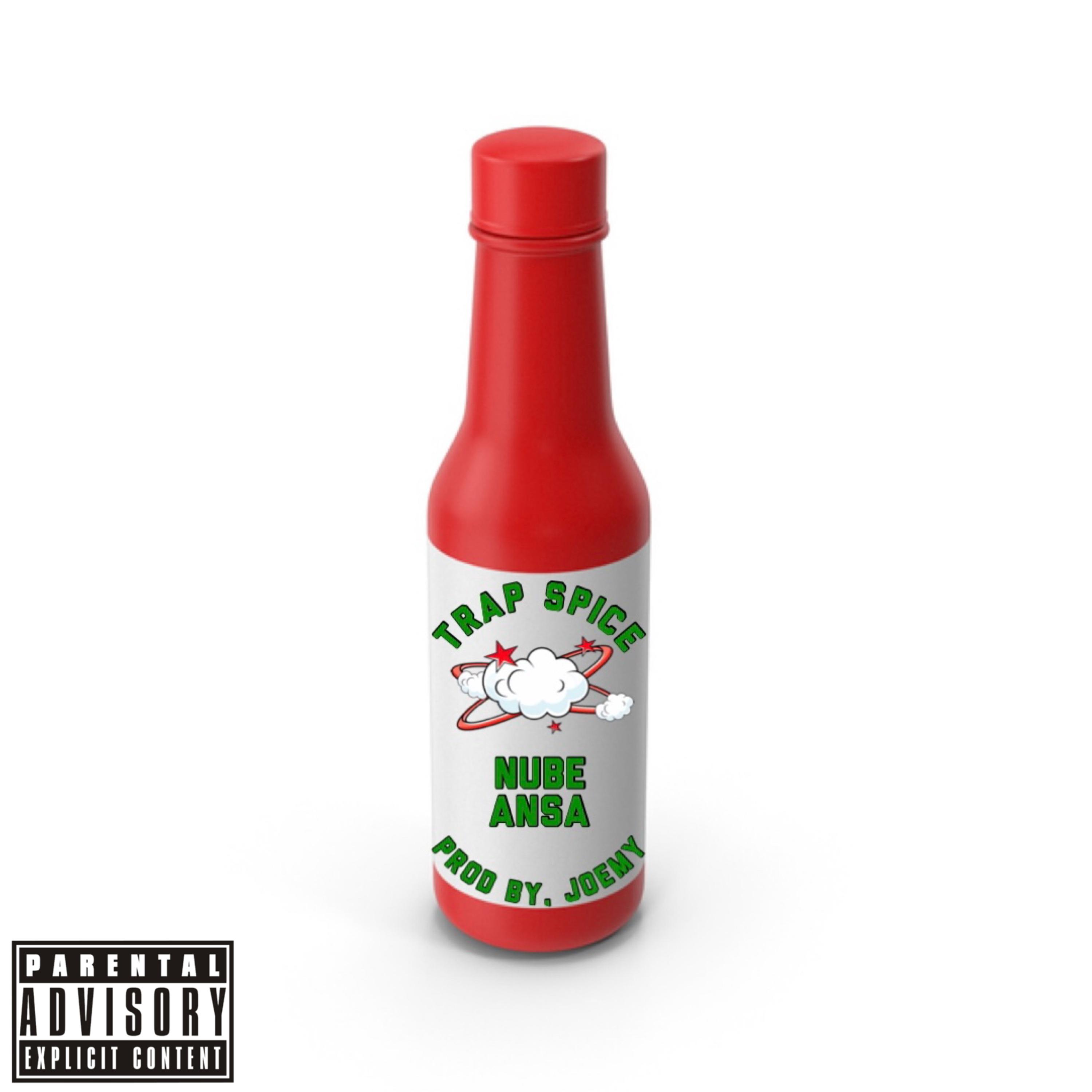 Trap Spice by NUBE cover art