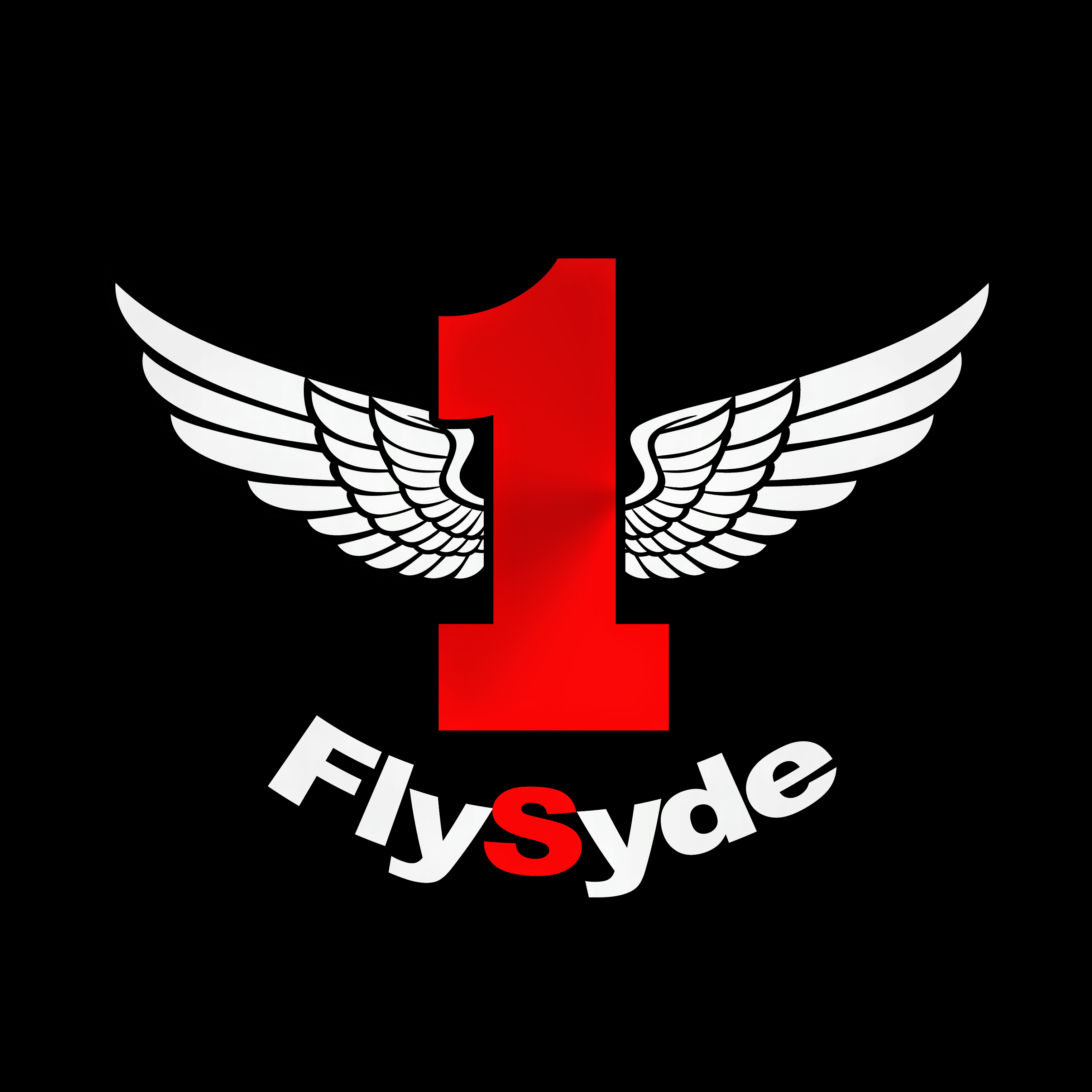 FLY$YDE artwork