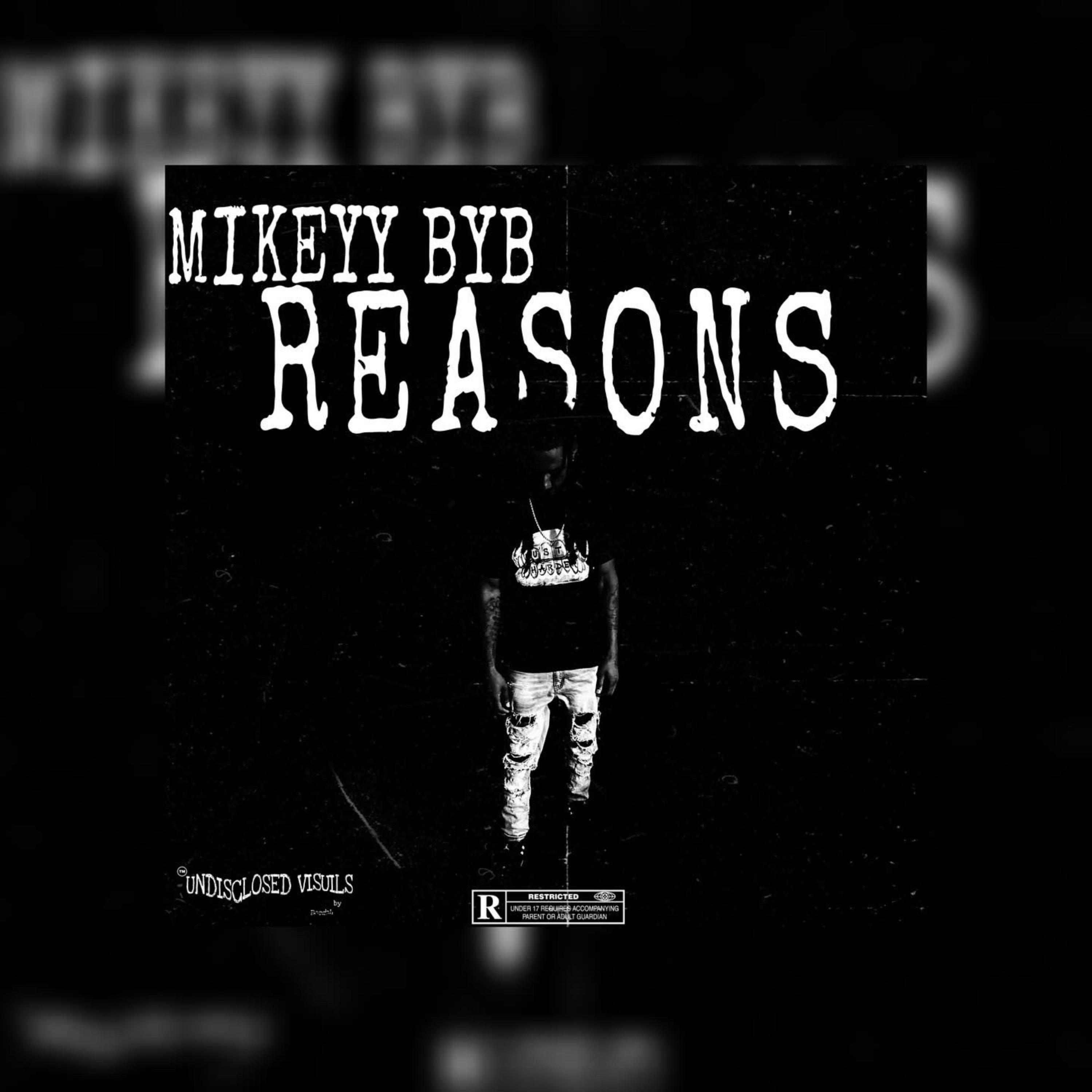 Reasons artwork