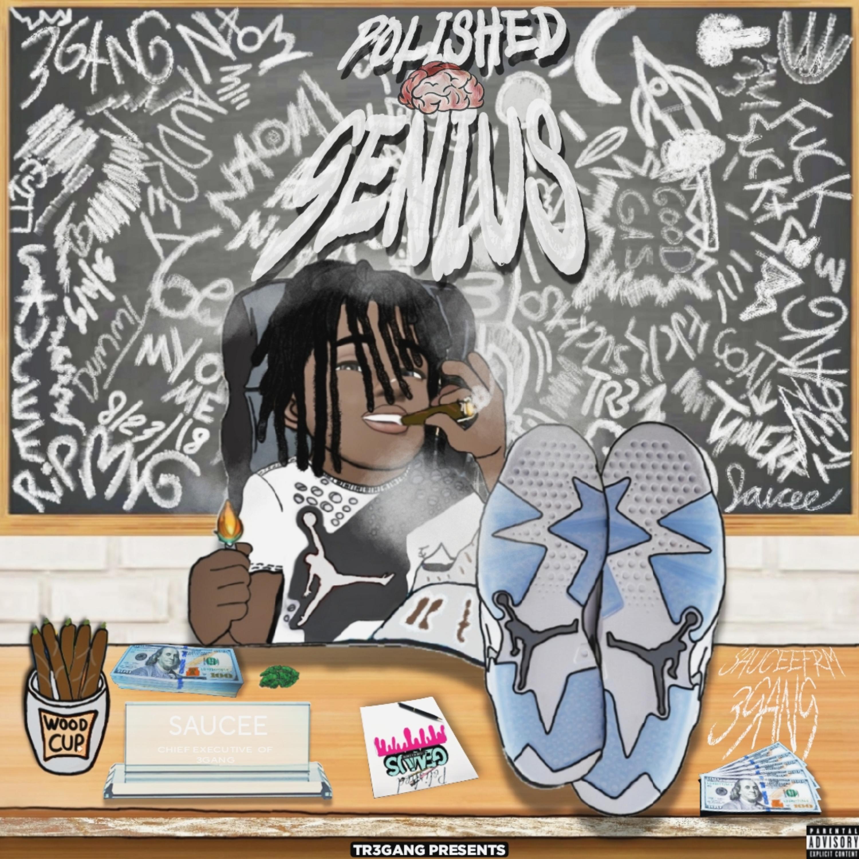 Polished Genius artwork