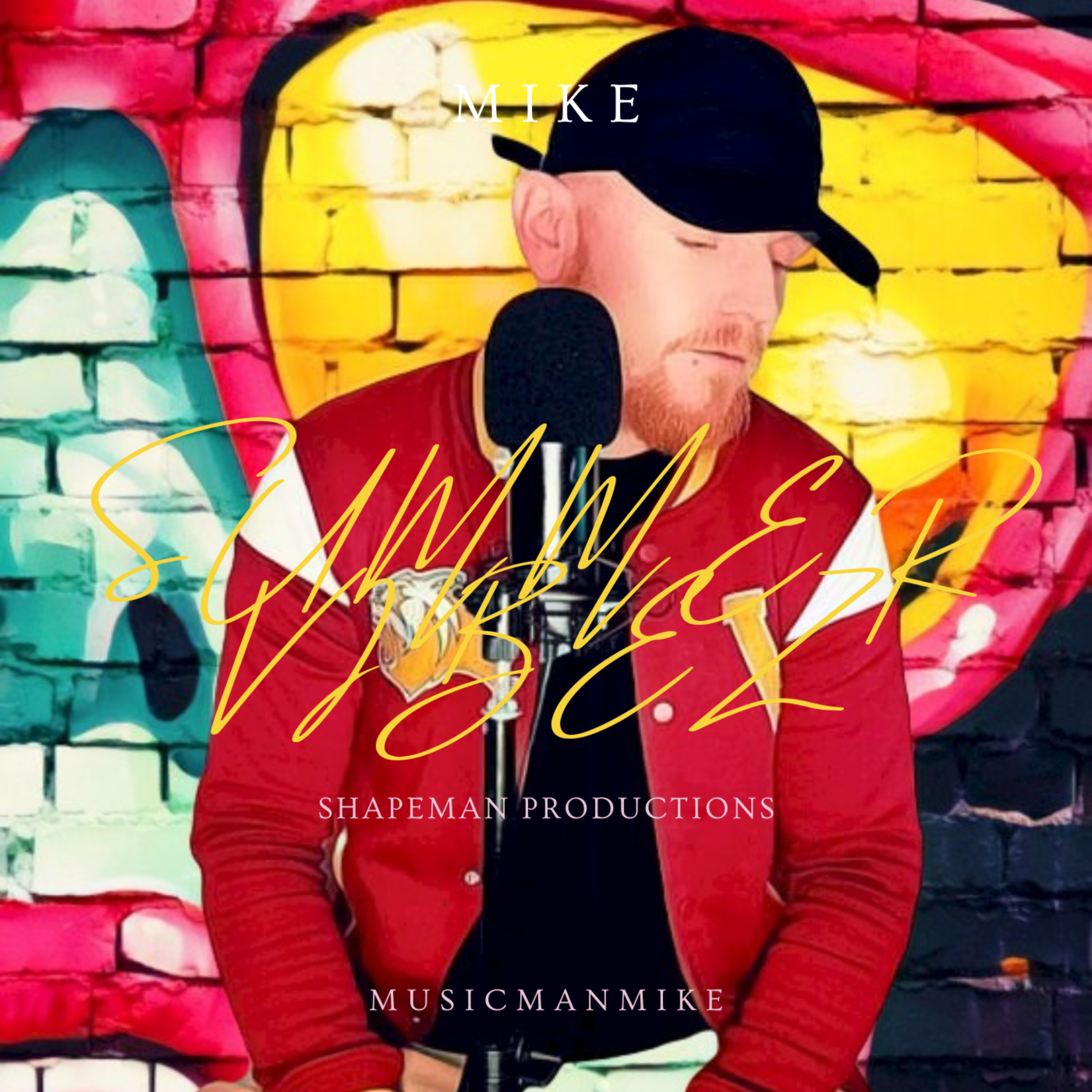 SUMMER VIBEZ artwork