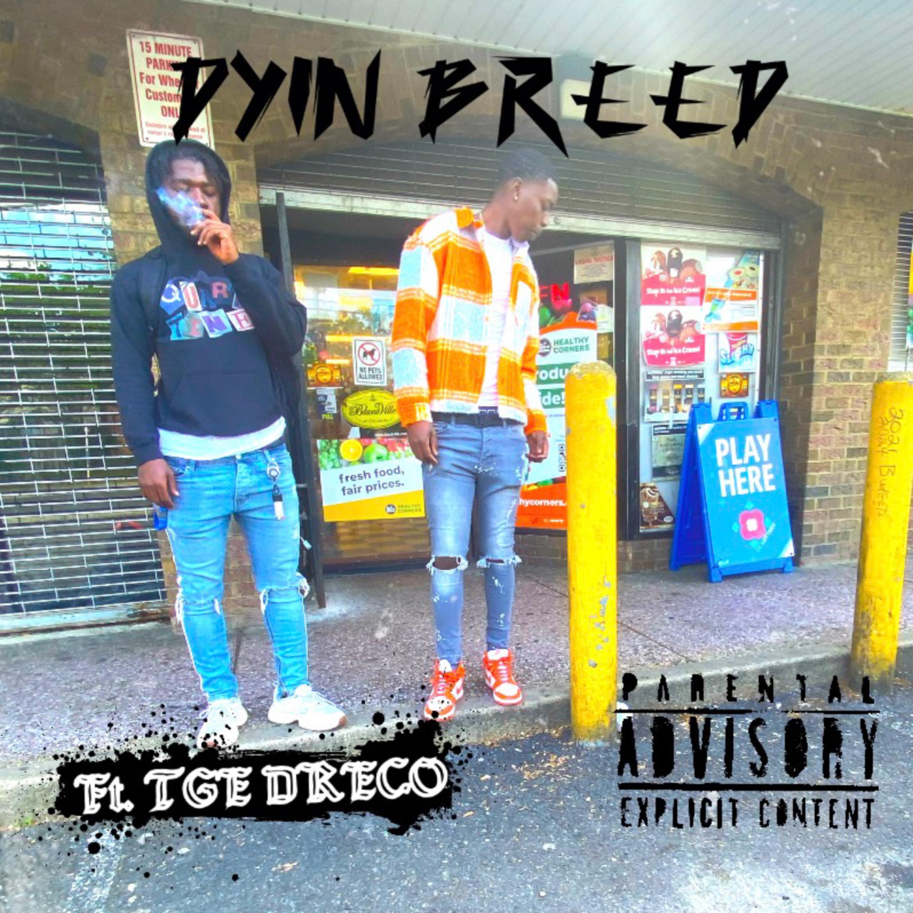 Dyin Breed artwork