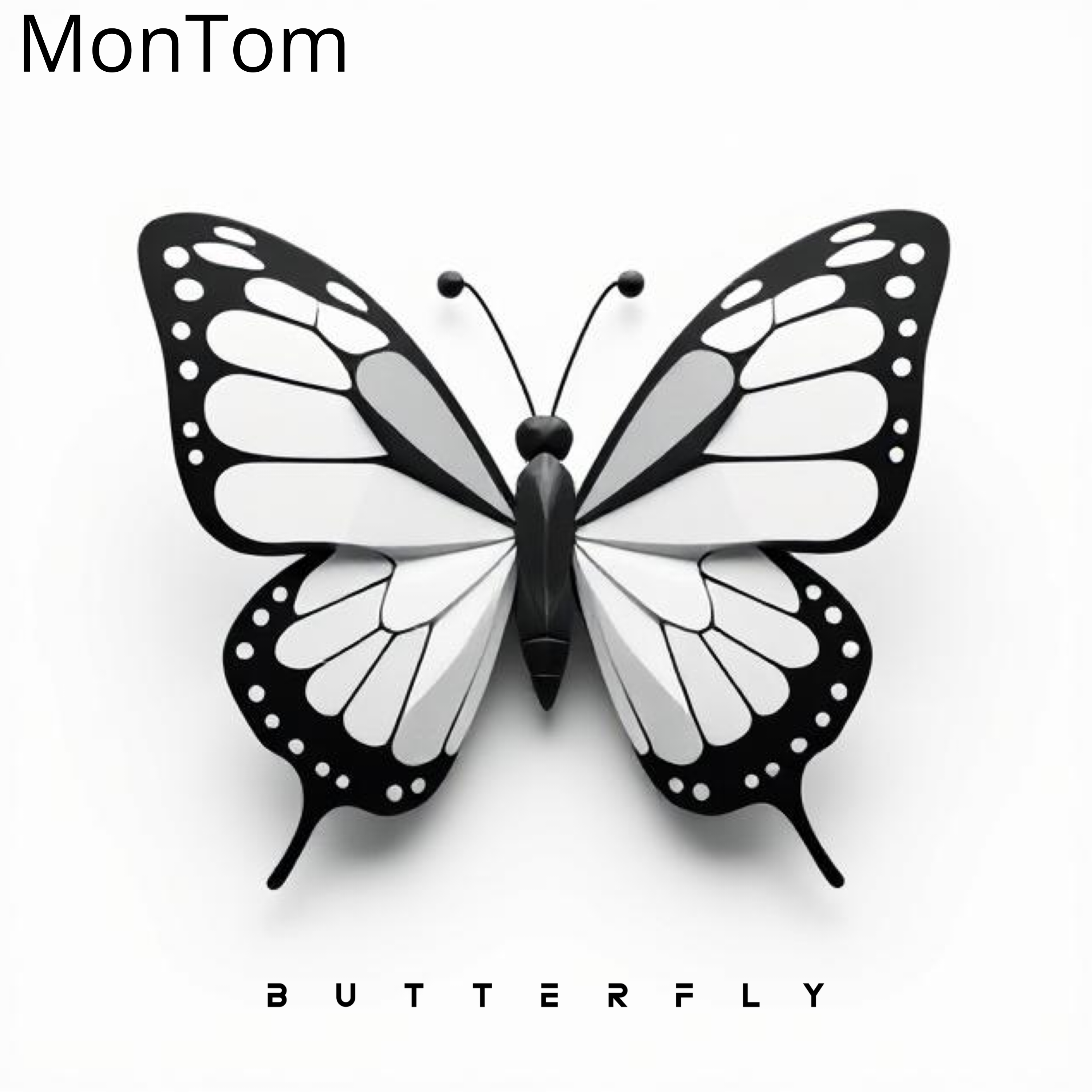 Butterfly artwork