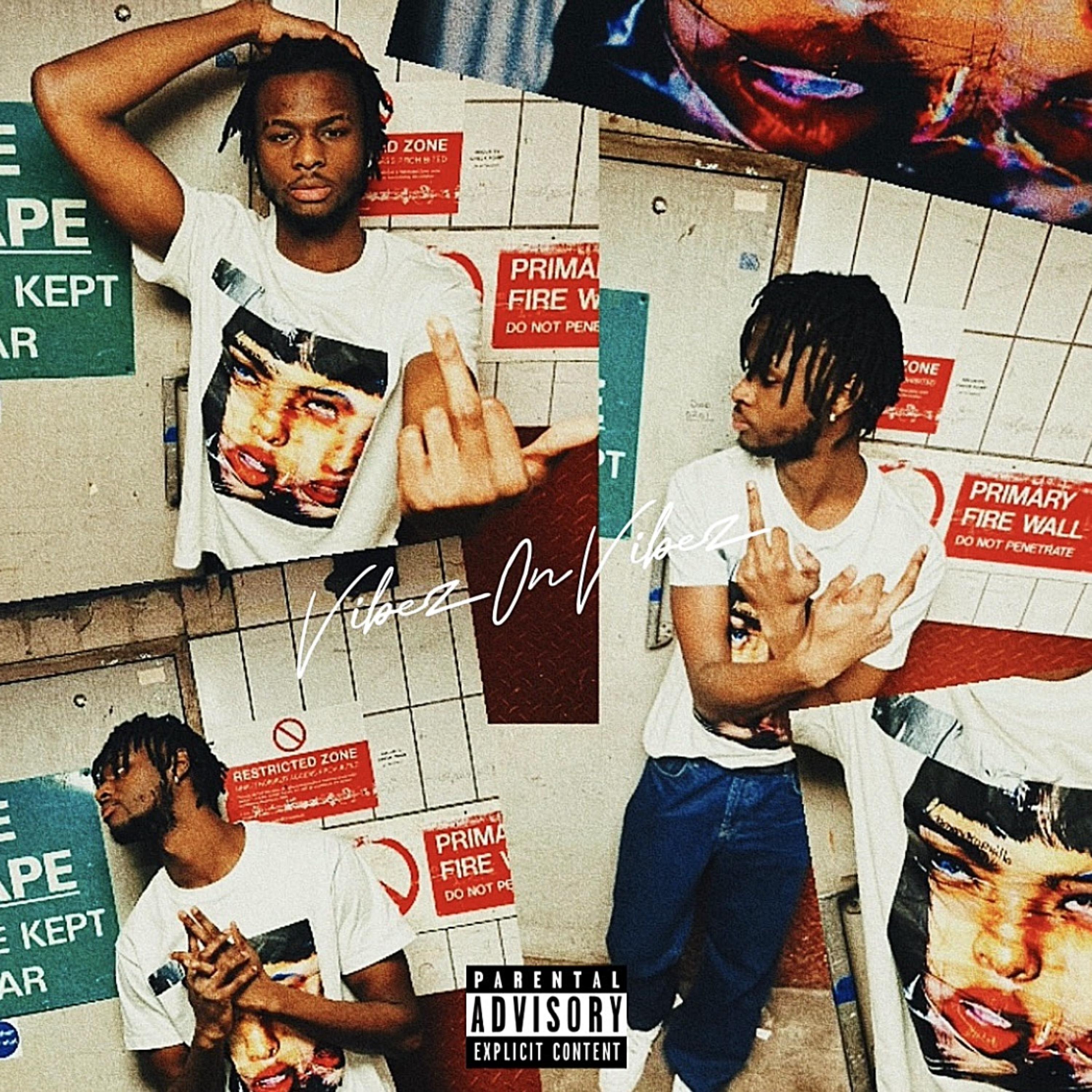 Vibez0nVibez artwork