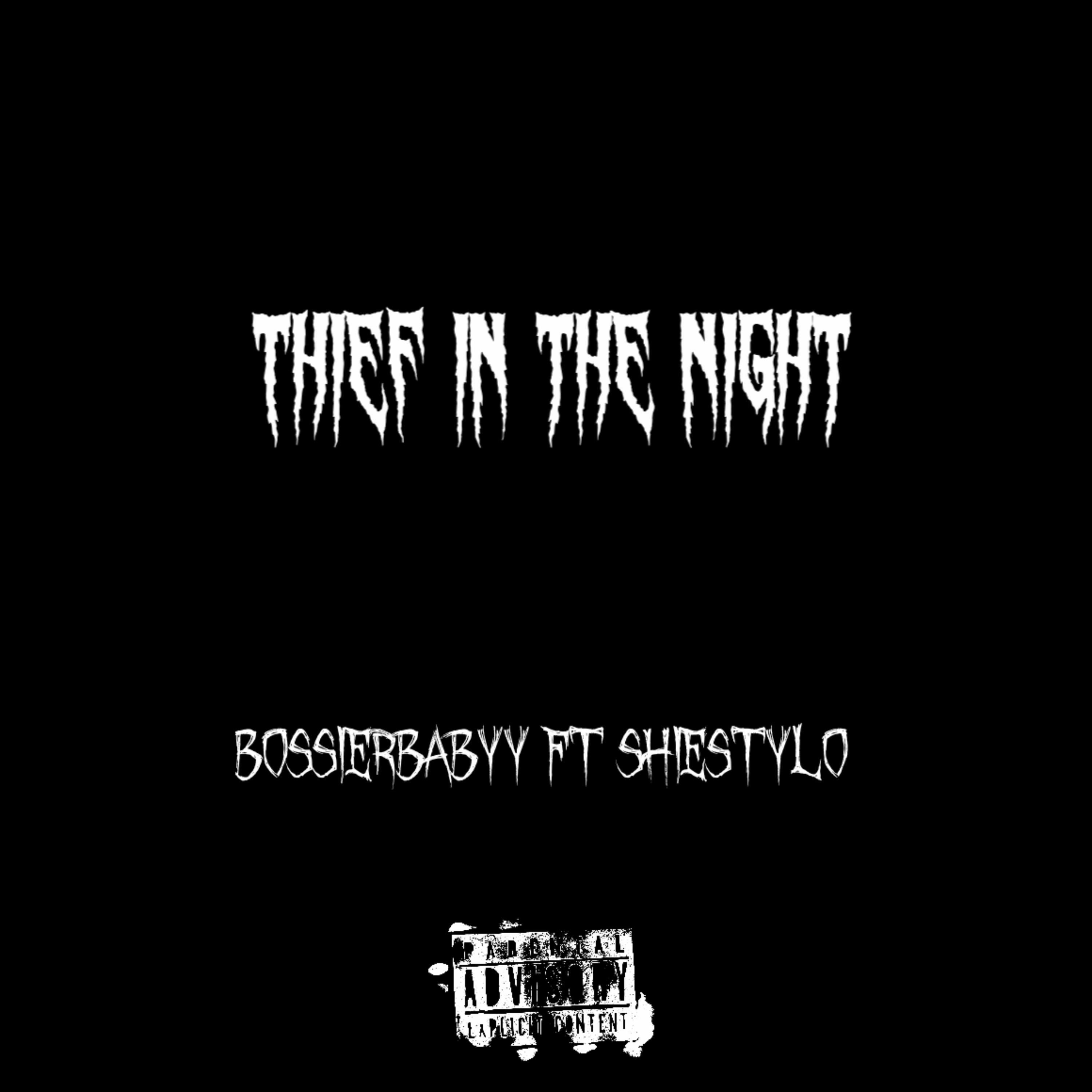 Thief In The Night artwork