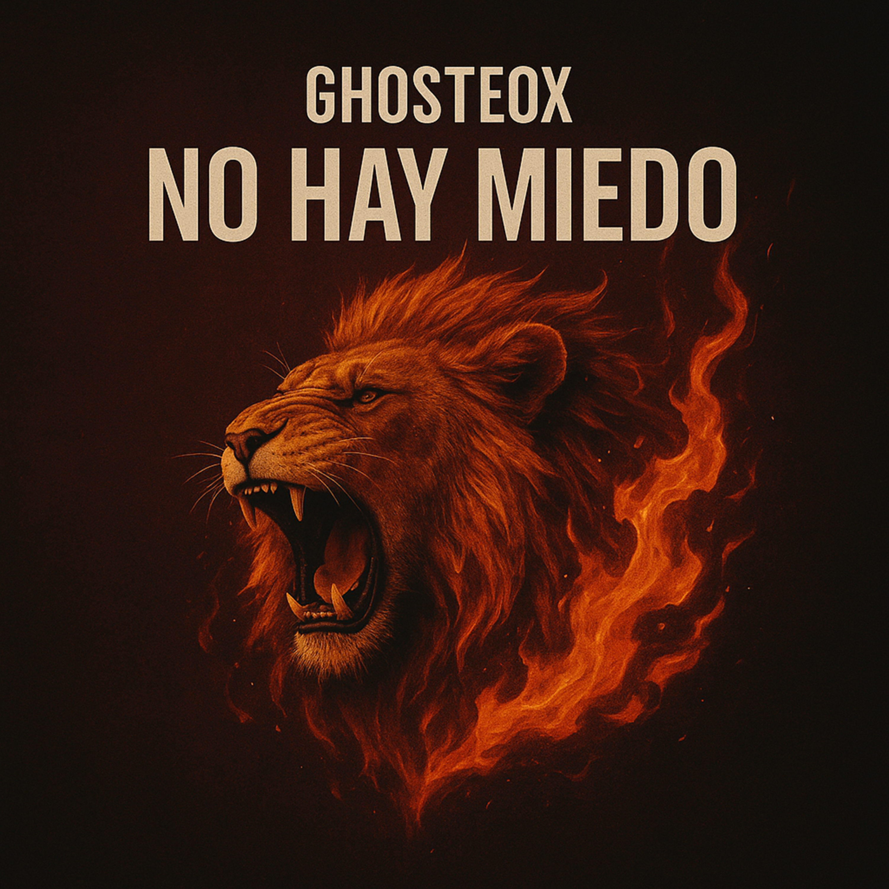 No Hay Miedo artwork