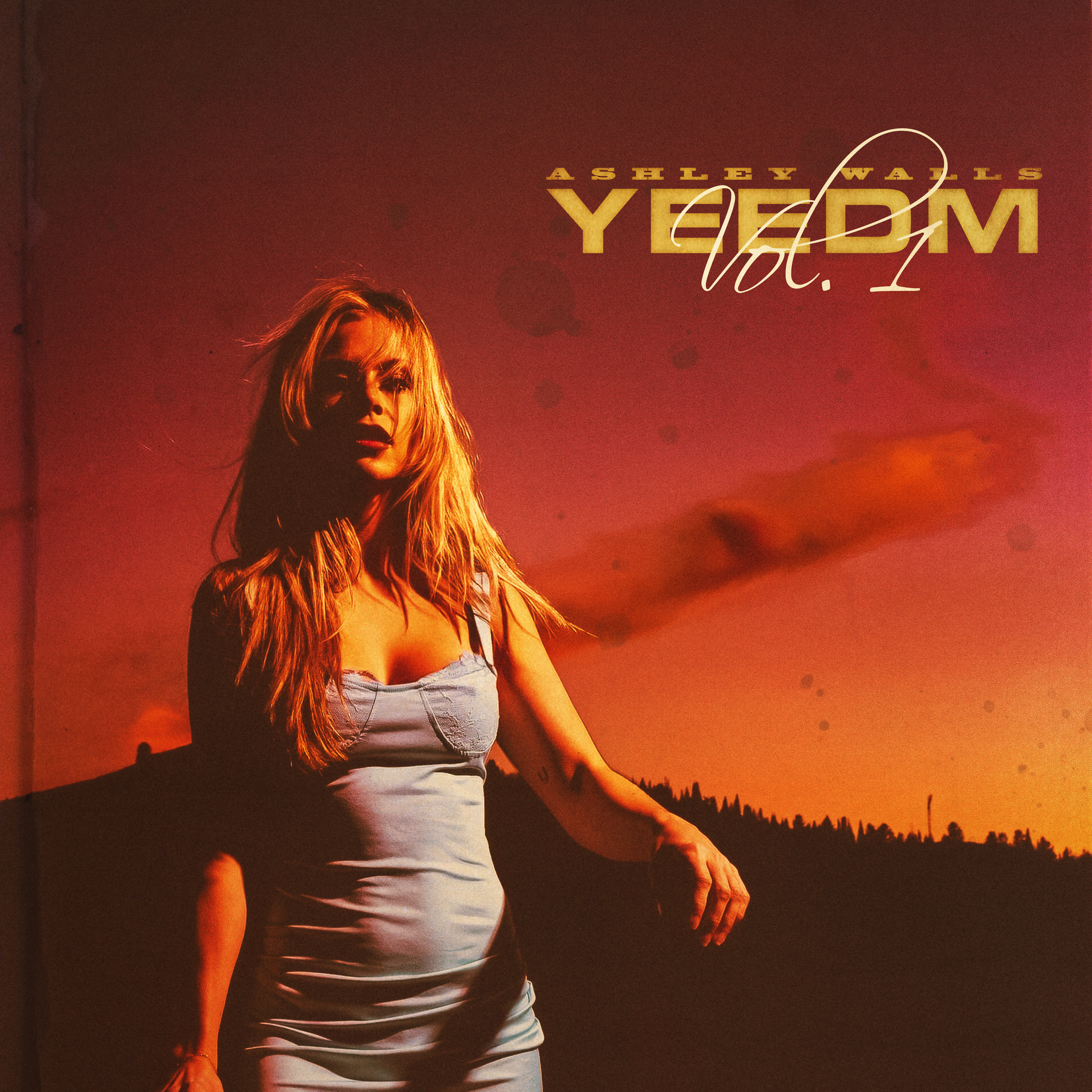 YEEDM vol. 1 artwork