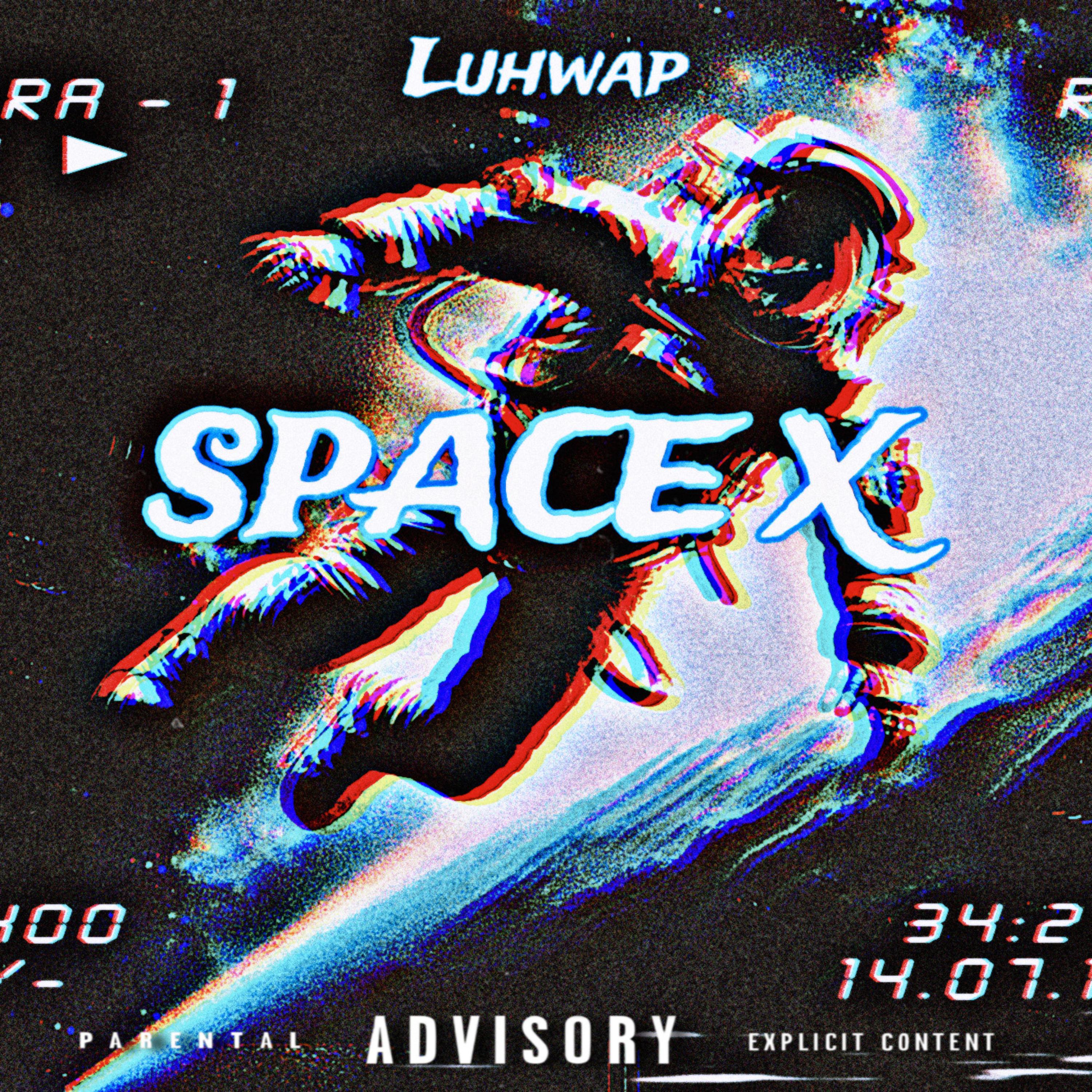 Space X artwork