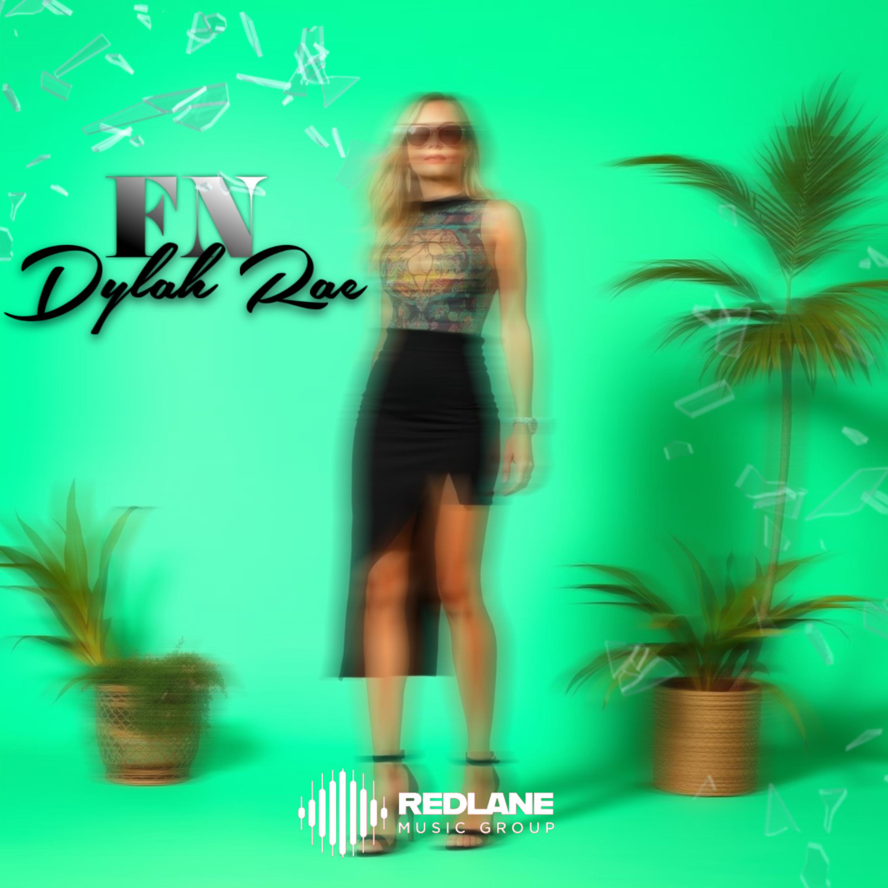 Fashion Nova artwork