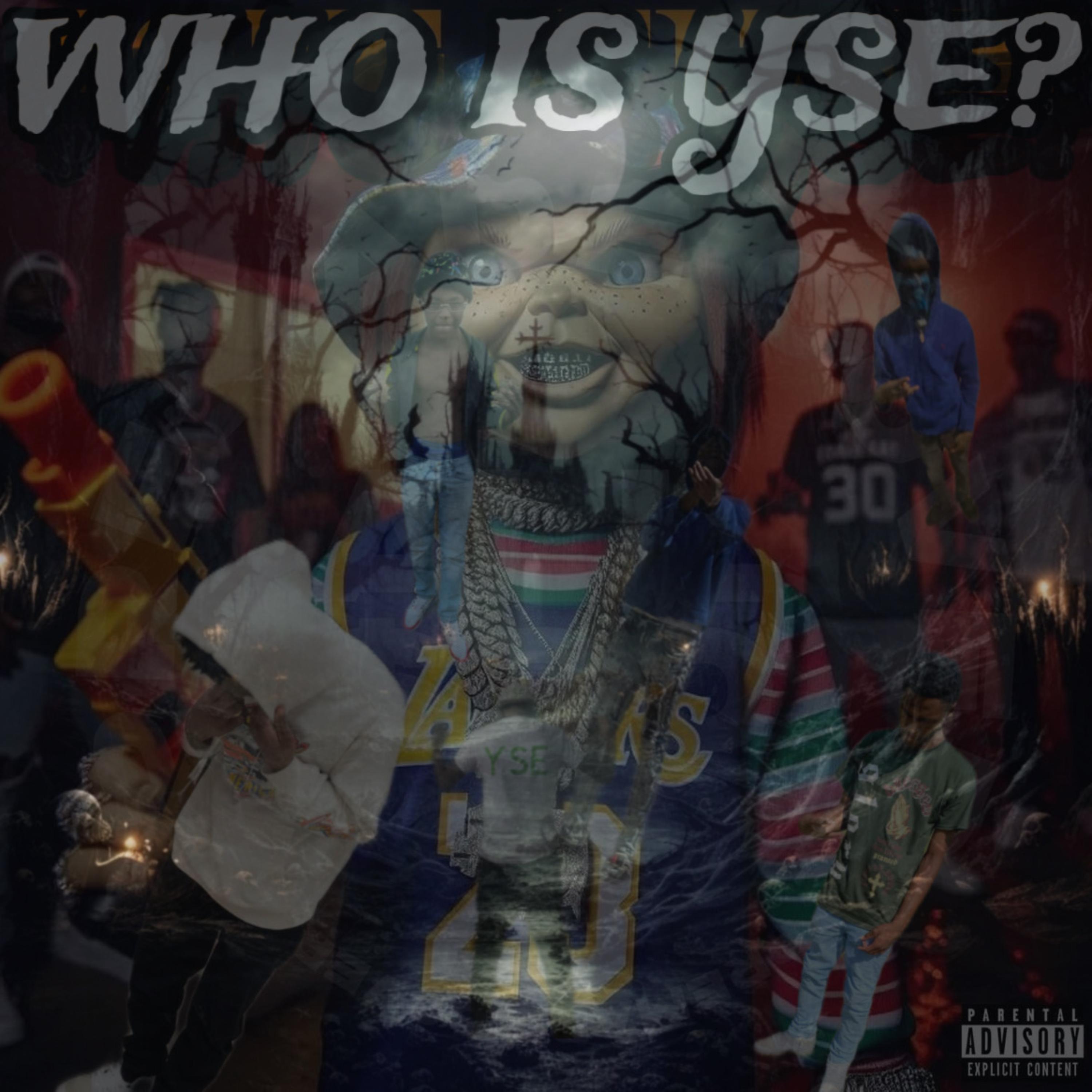 WHO IS YSE? artwork