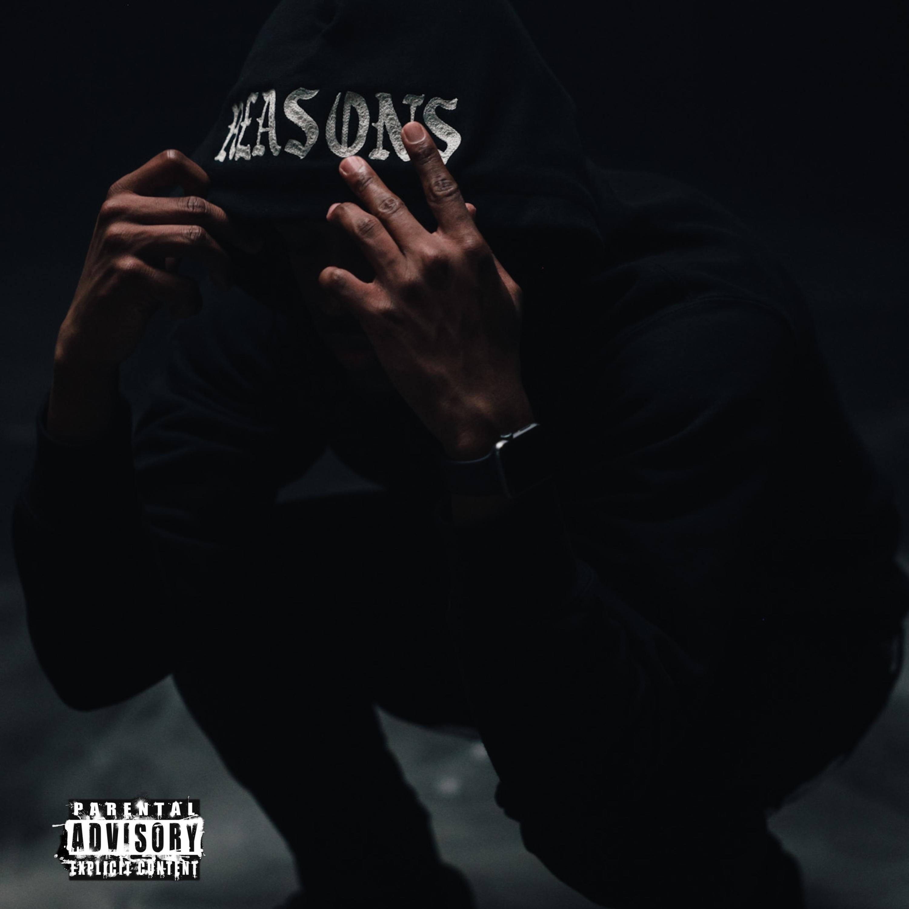 REASONS artwork