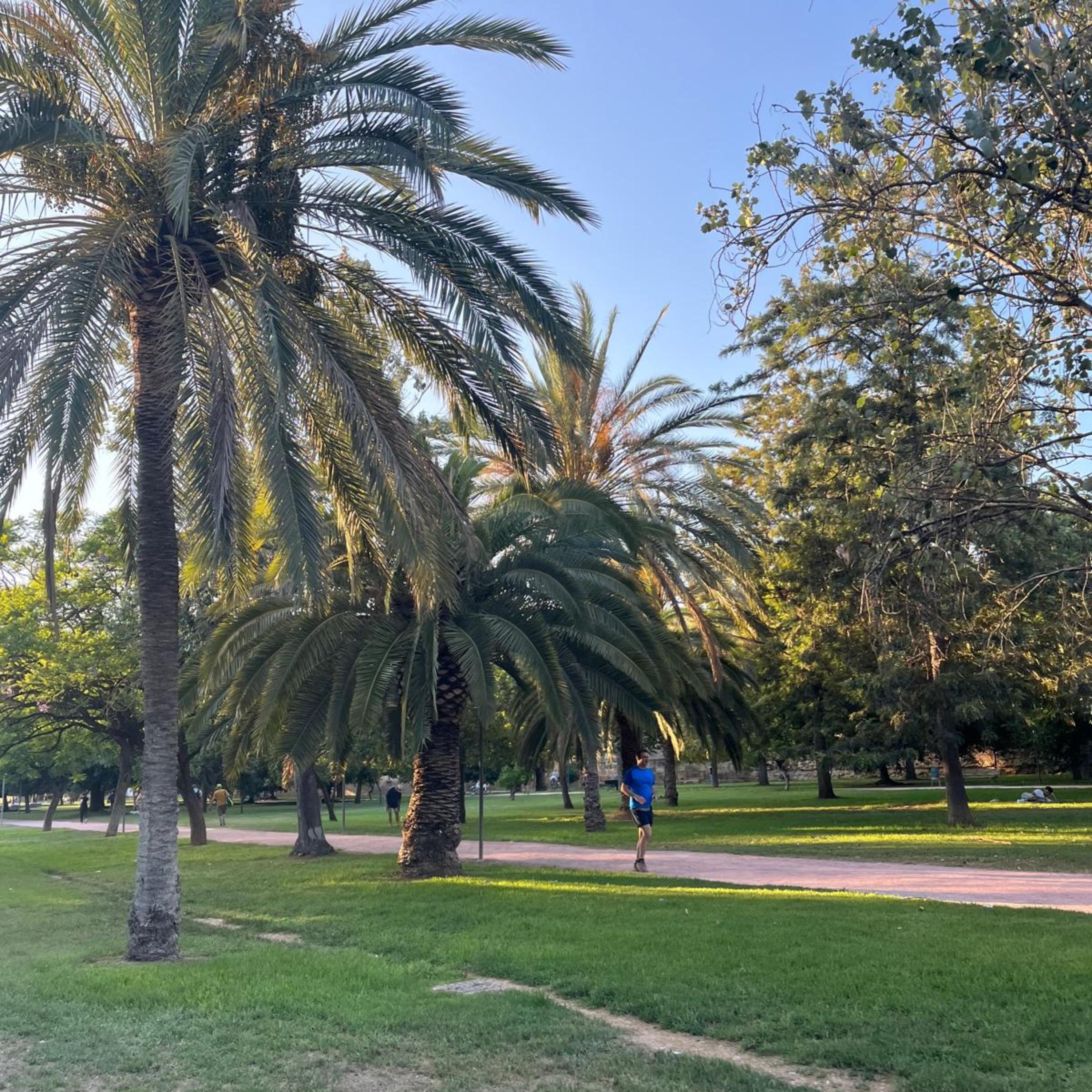 musica árabe artwork